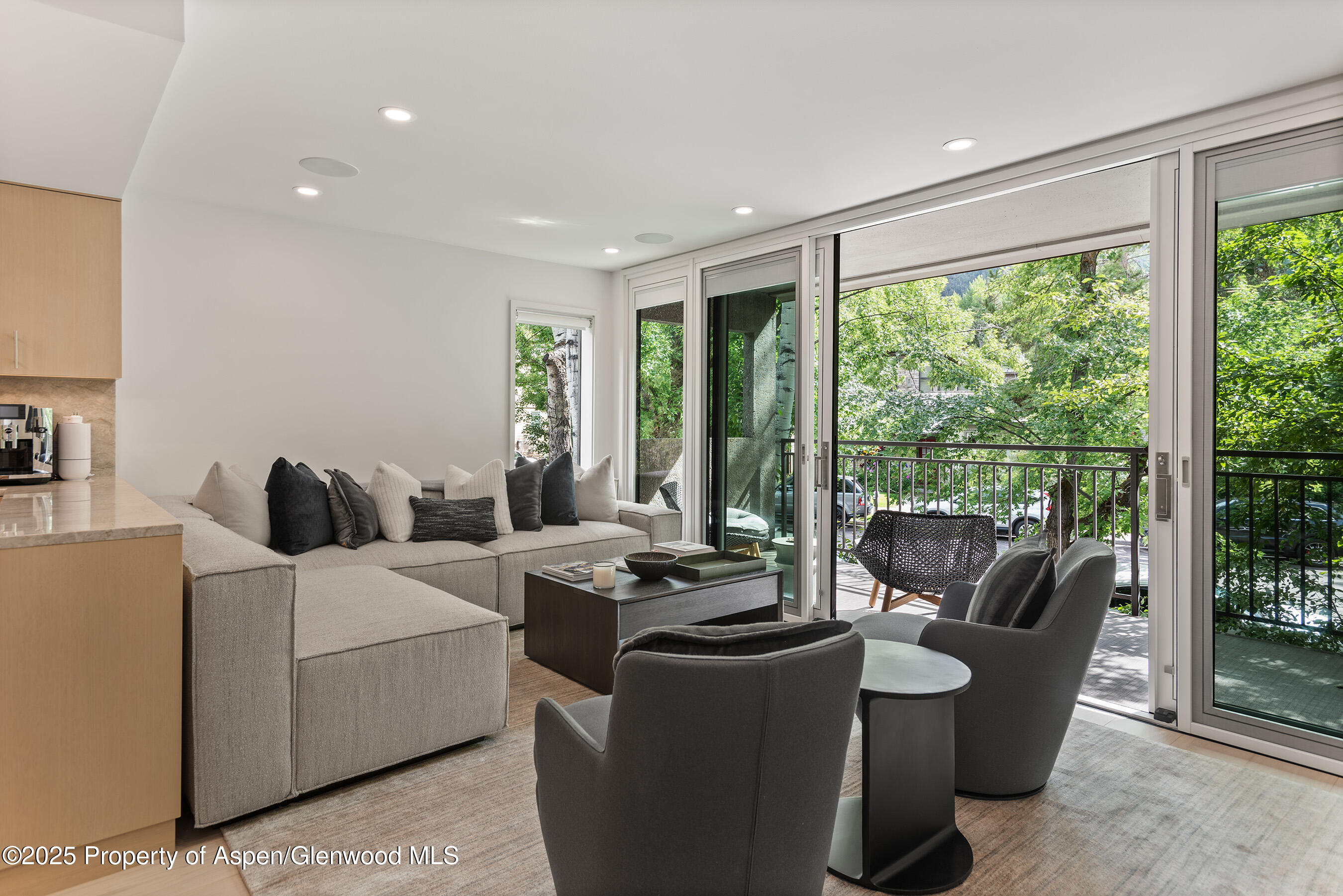 800 E Hopkins Avenue Aspen CO 81611