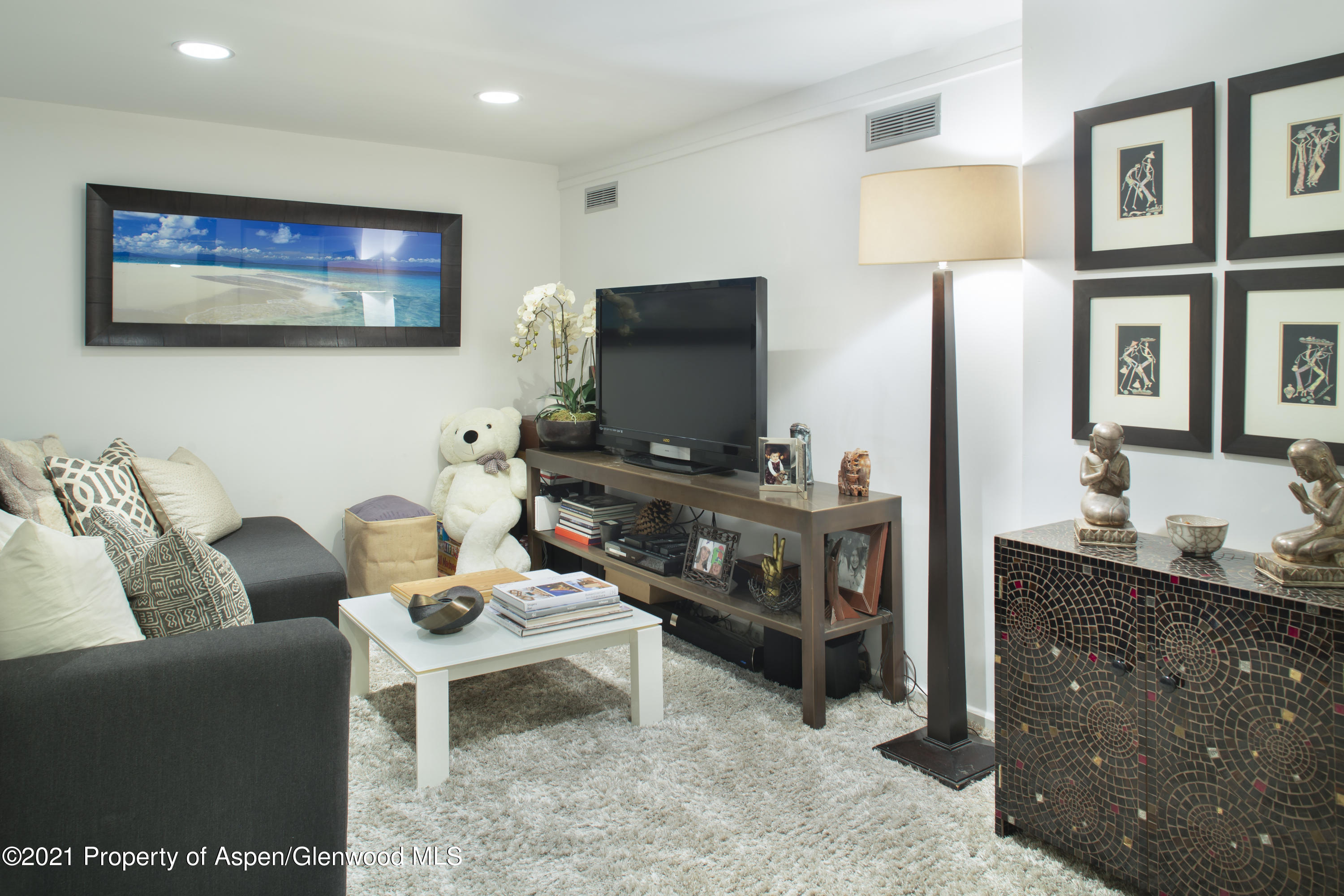 1001 E Cooper Avenue Aspen CO 81611