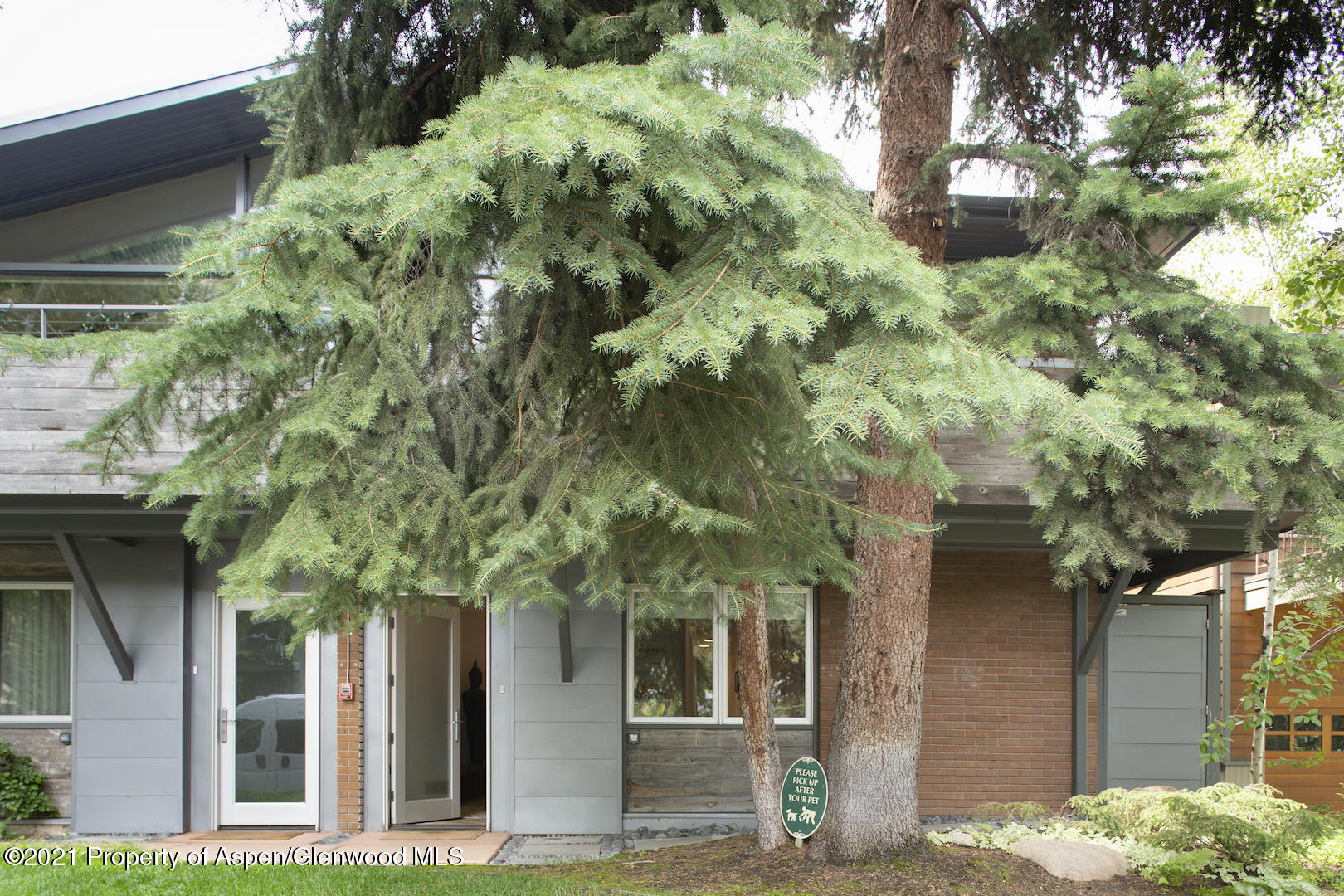 1001 E Cooper Avenue Aspen CO 81611