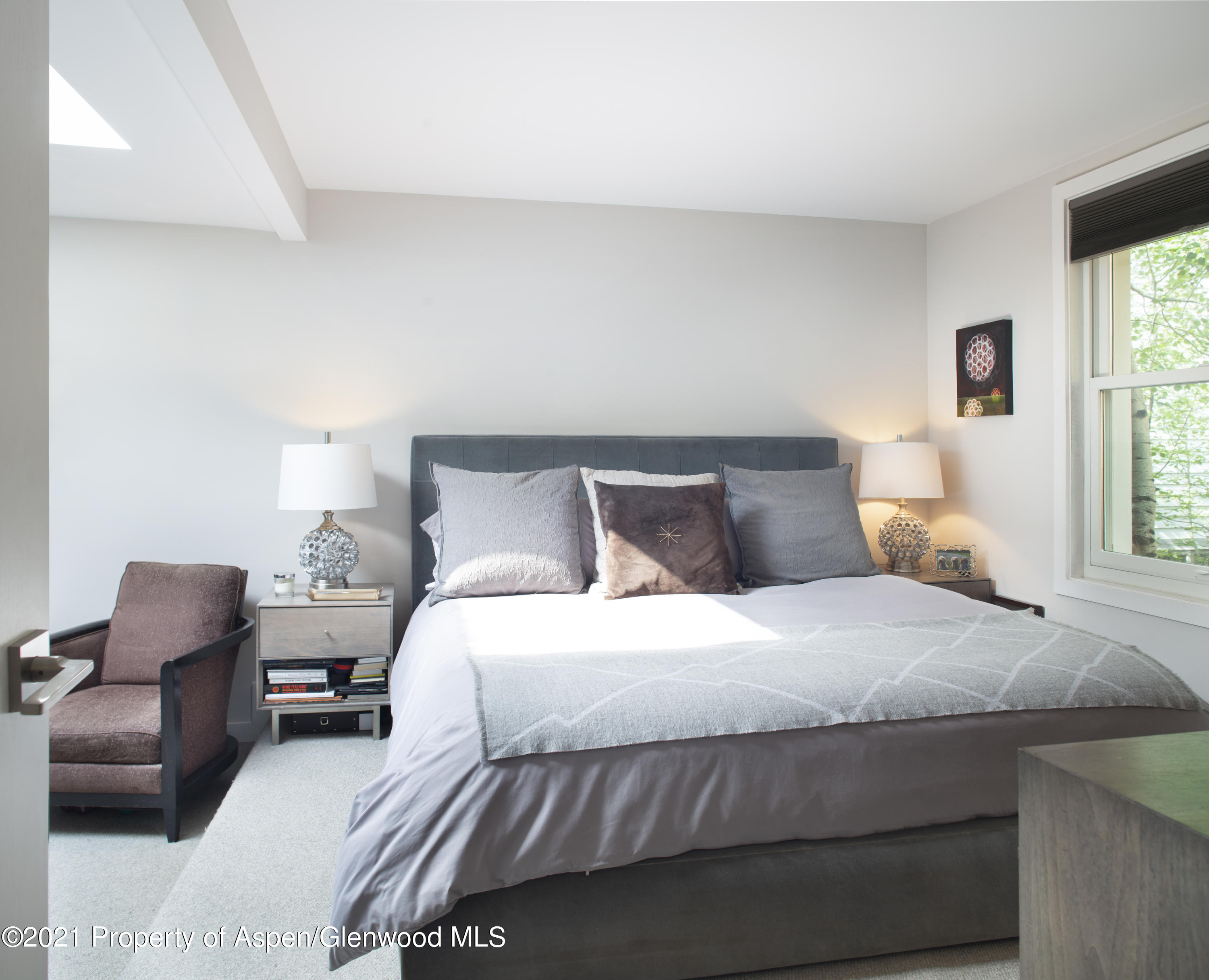 1001 E Cooper Avenue Aspen CO 81611