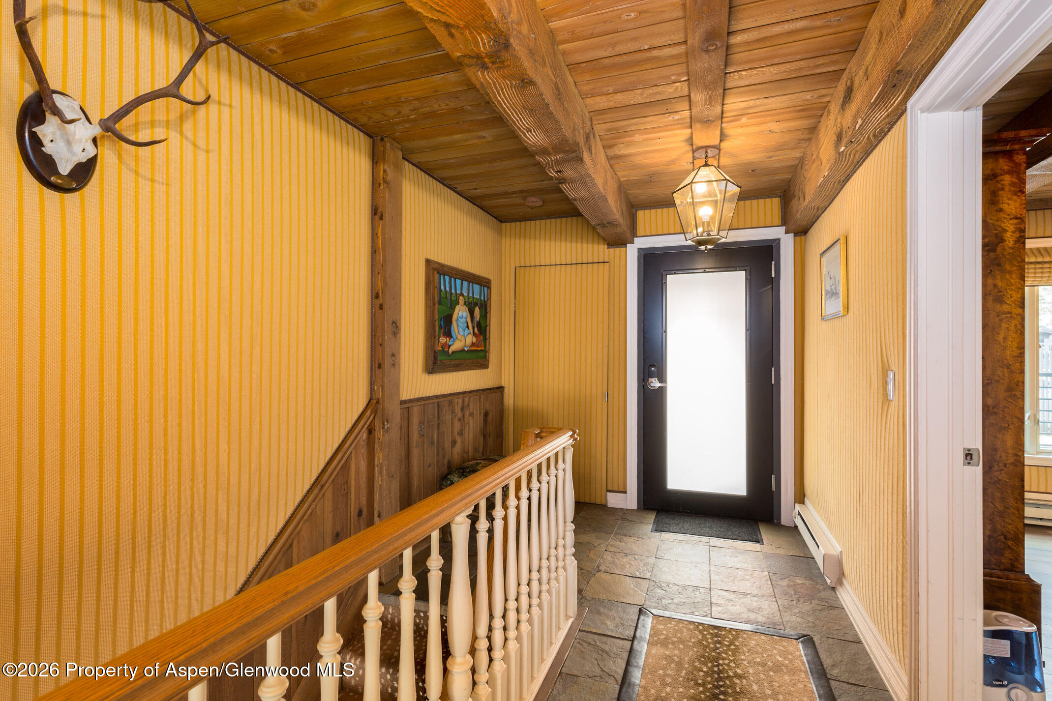1039 E Cooper Avenue Aspen CO 81611