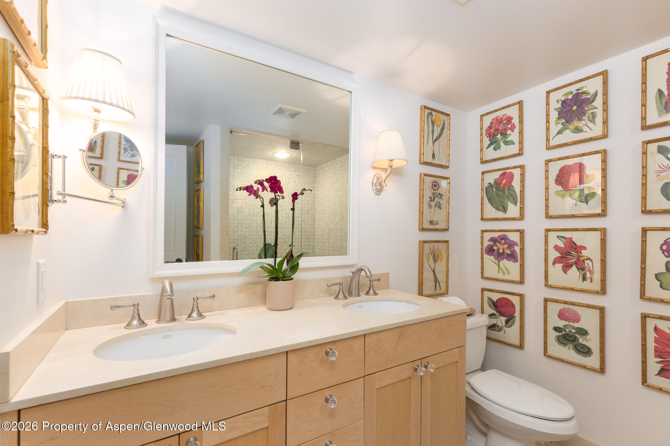 1039 E Cooper Avenue Aspen CO 81611
