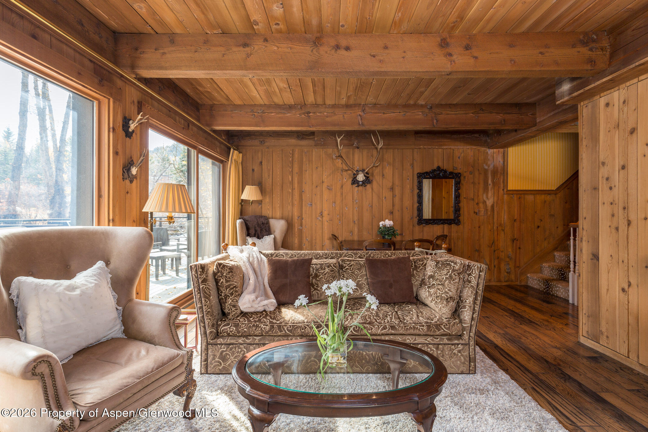 1039 E Cooper Avenue Aspen CO 81611