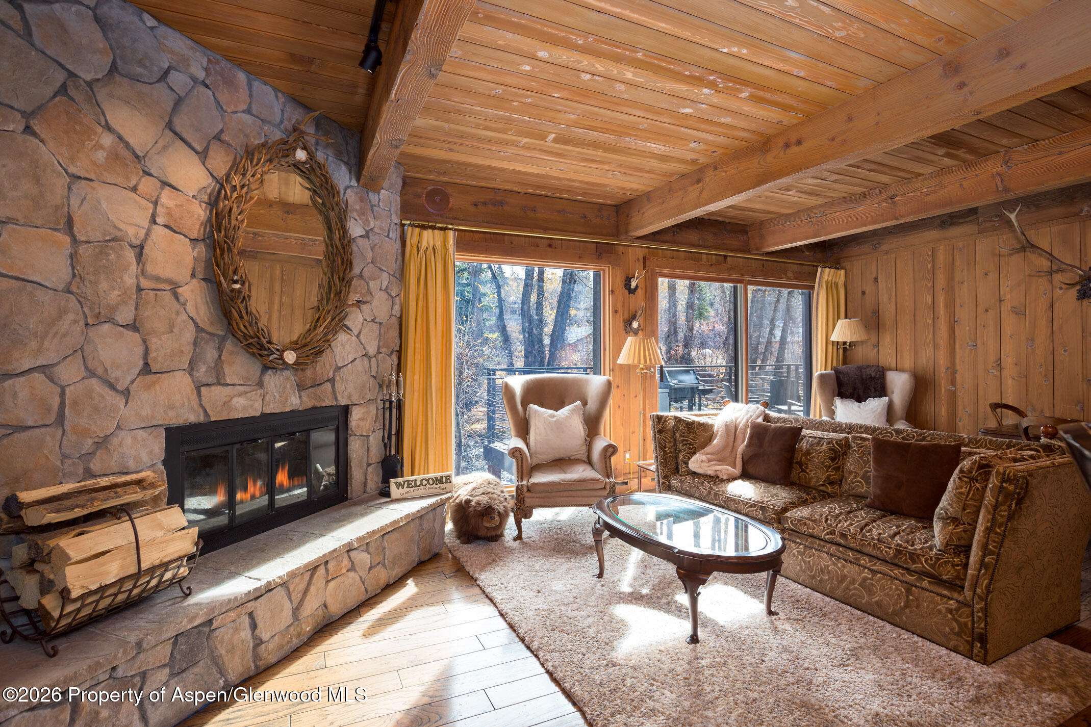 1039 E Cooper Avenue Aspen CO 81611