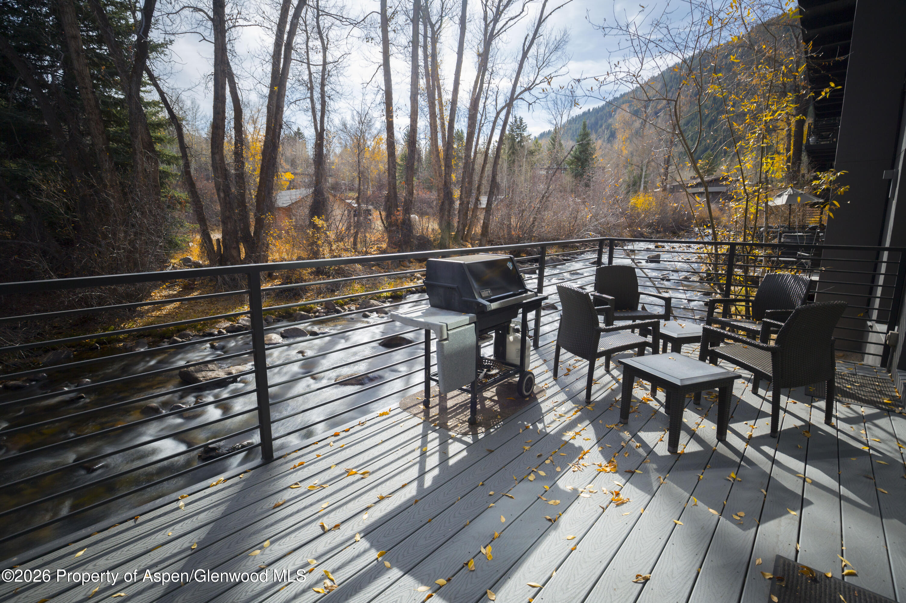 1039 E Cooper Avenue Aspen CO 81611