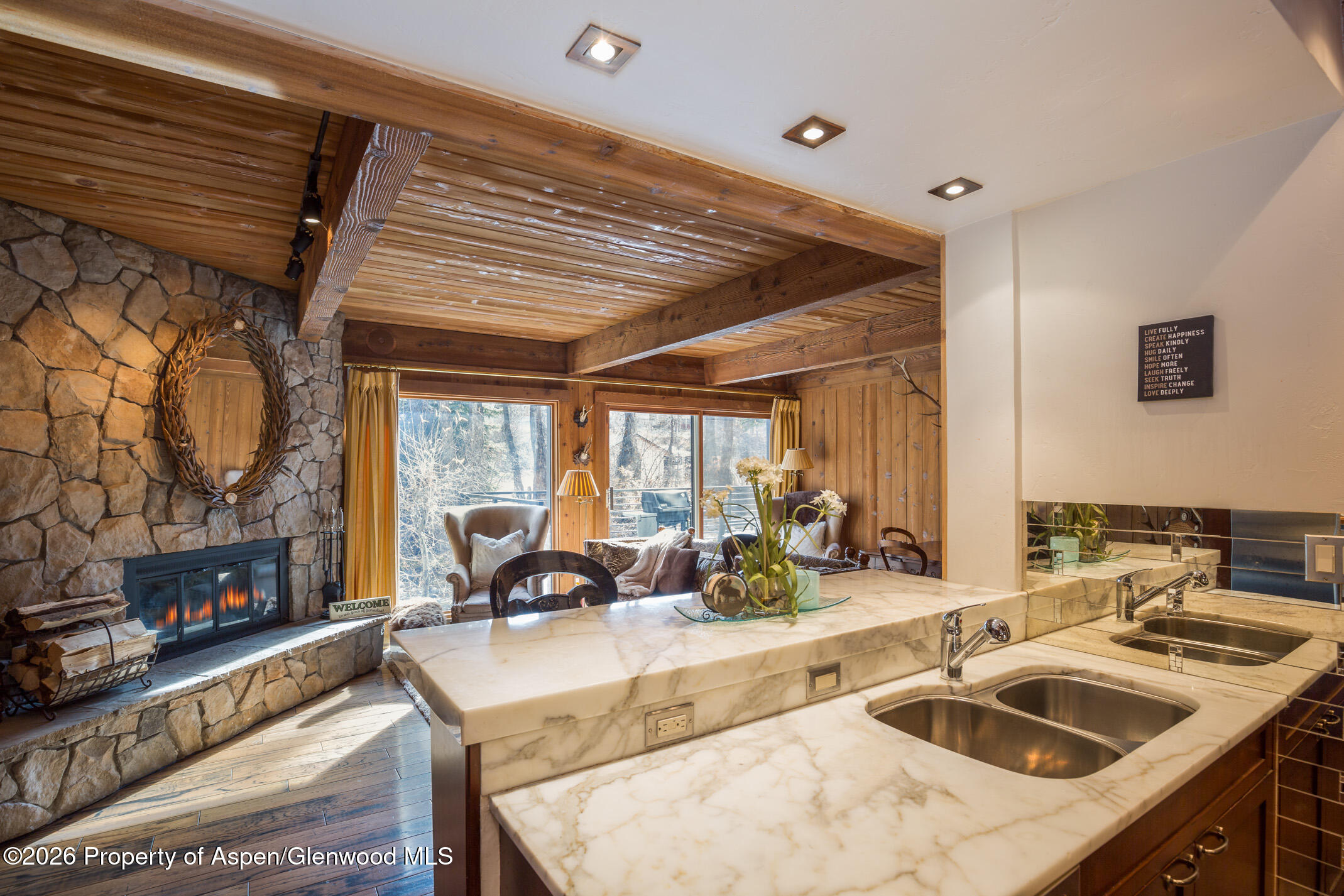 1039 E Cooper Avenue Aspen CO 81611