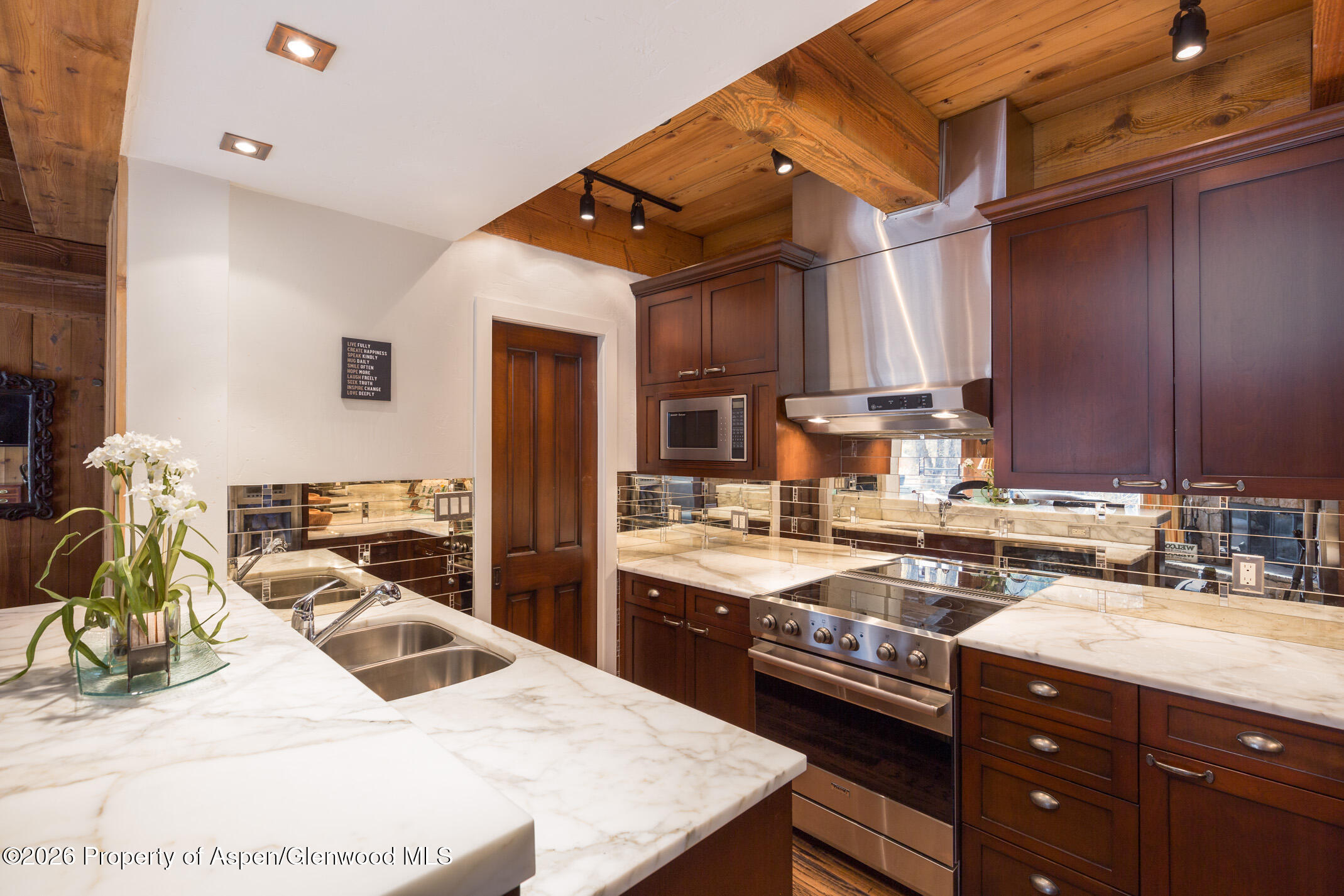 1039 E Cooper Avenue Aspen CO 81611