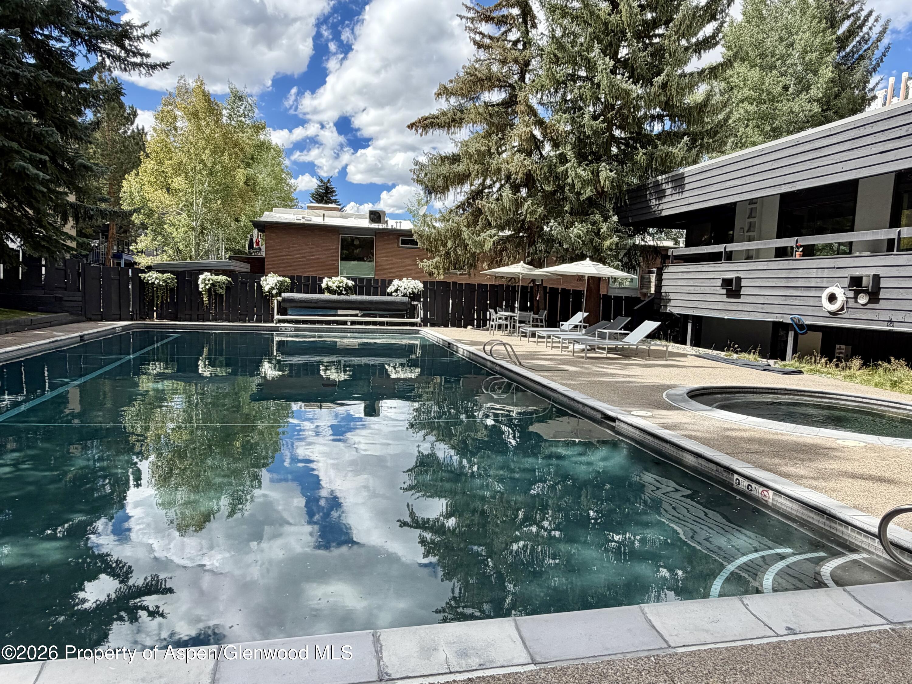 1039 E Cooper Avenue Aspen CO 81611