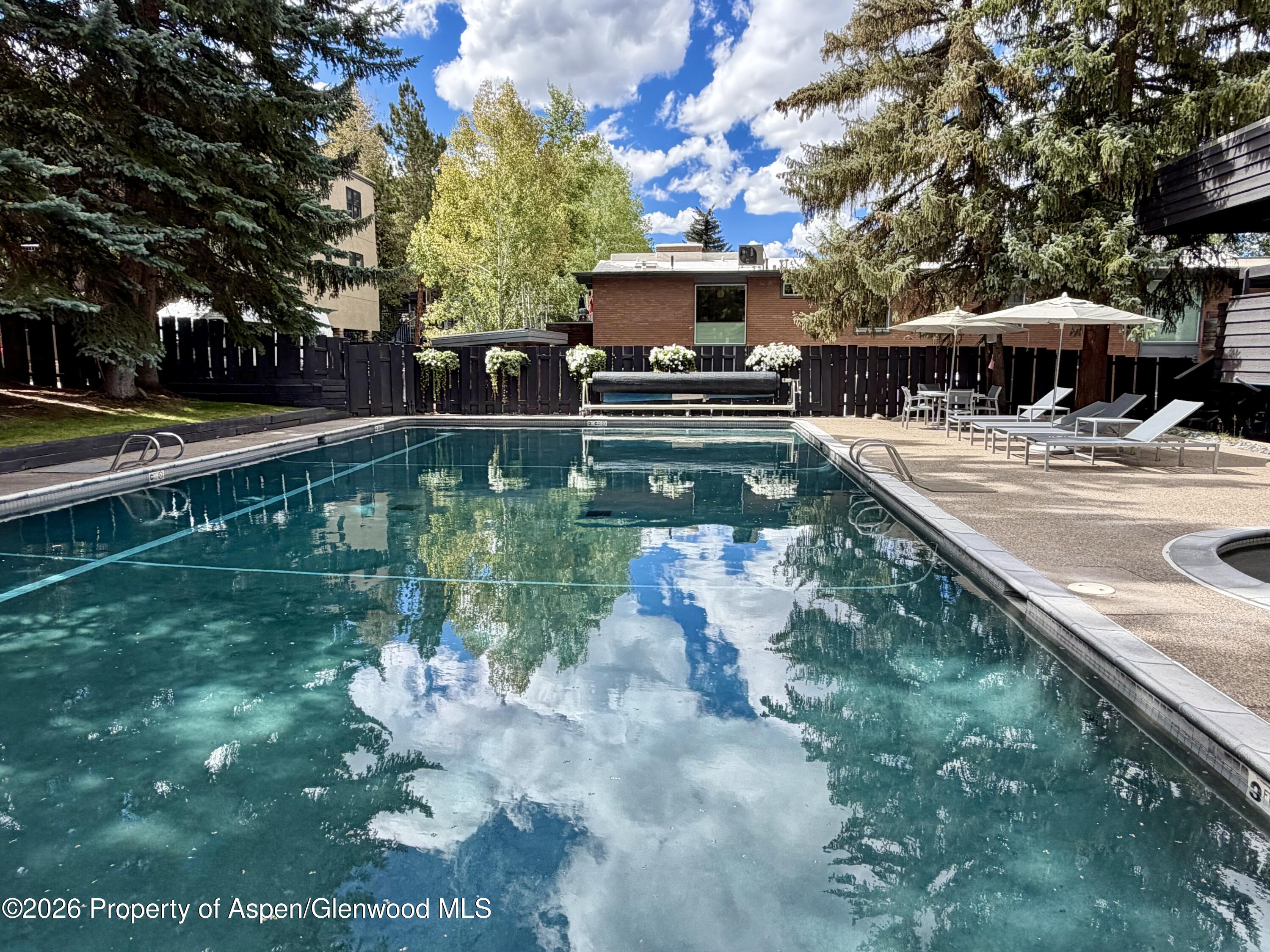 1039 E Cooper Avenue Aspen CO 81611