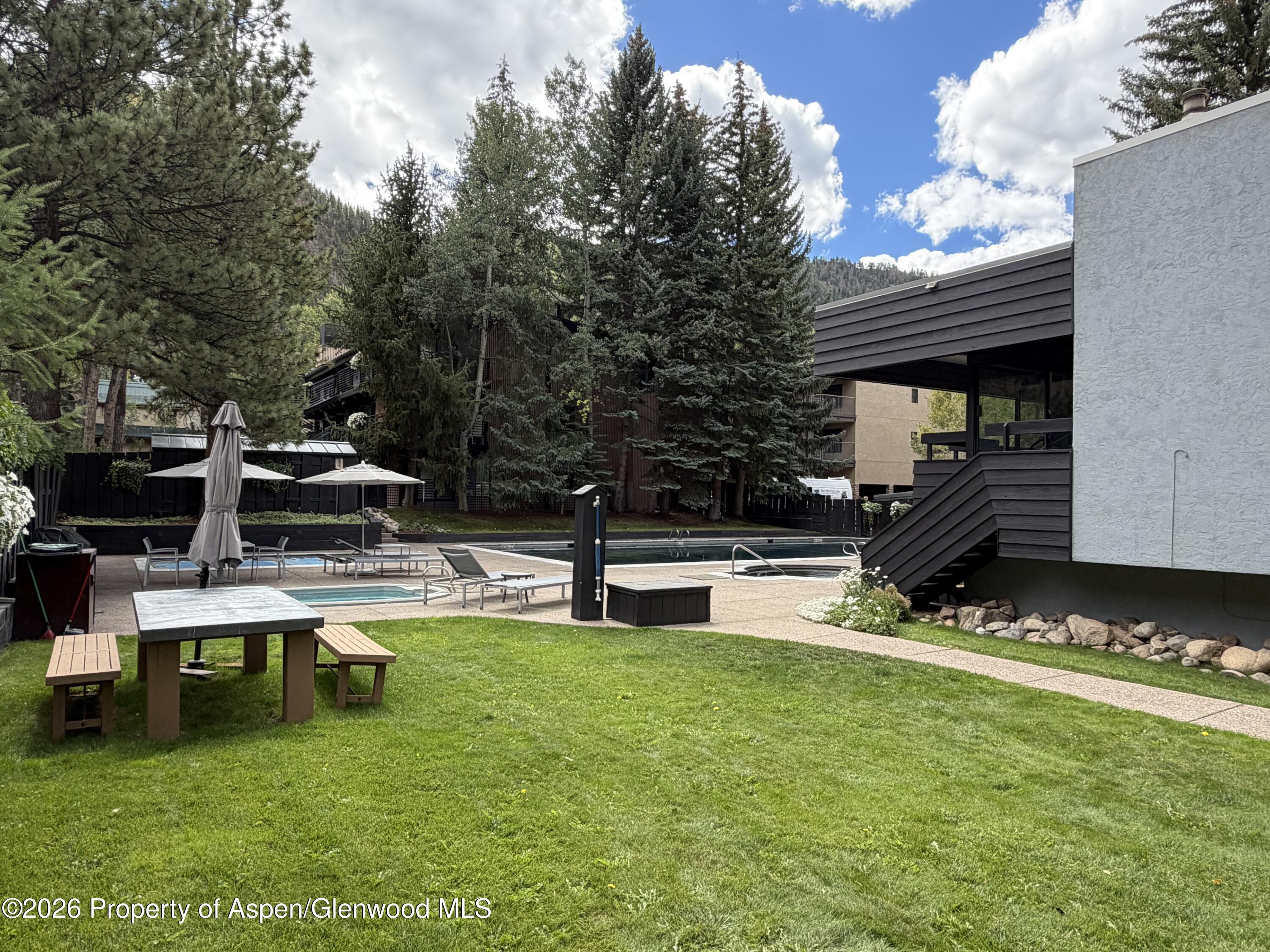 1039 E Cooper Avenue Aspen CO 81611