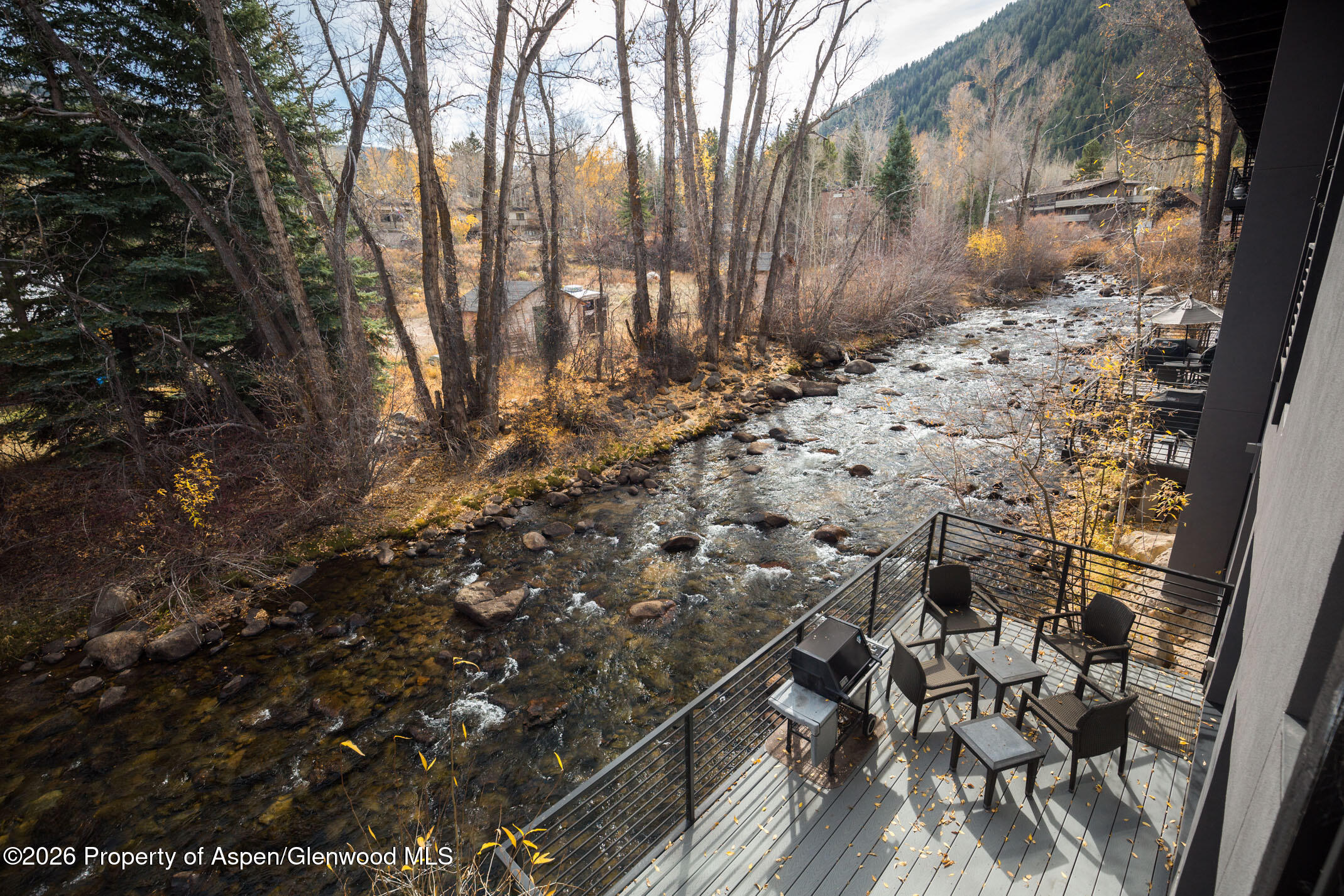 1039 E Cooper Avenue Aspen CO 81611