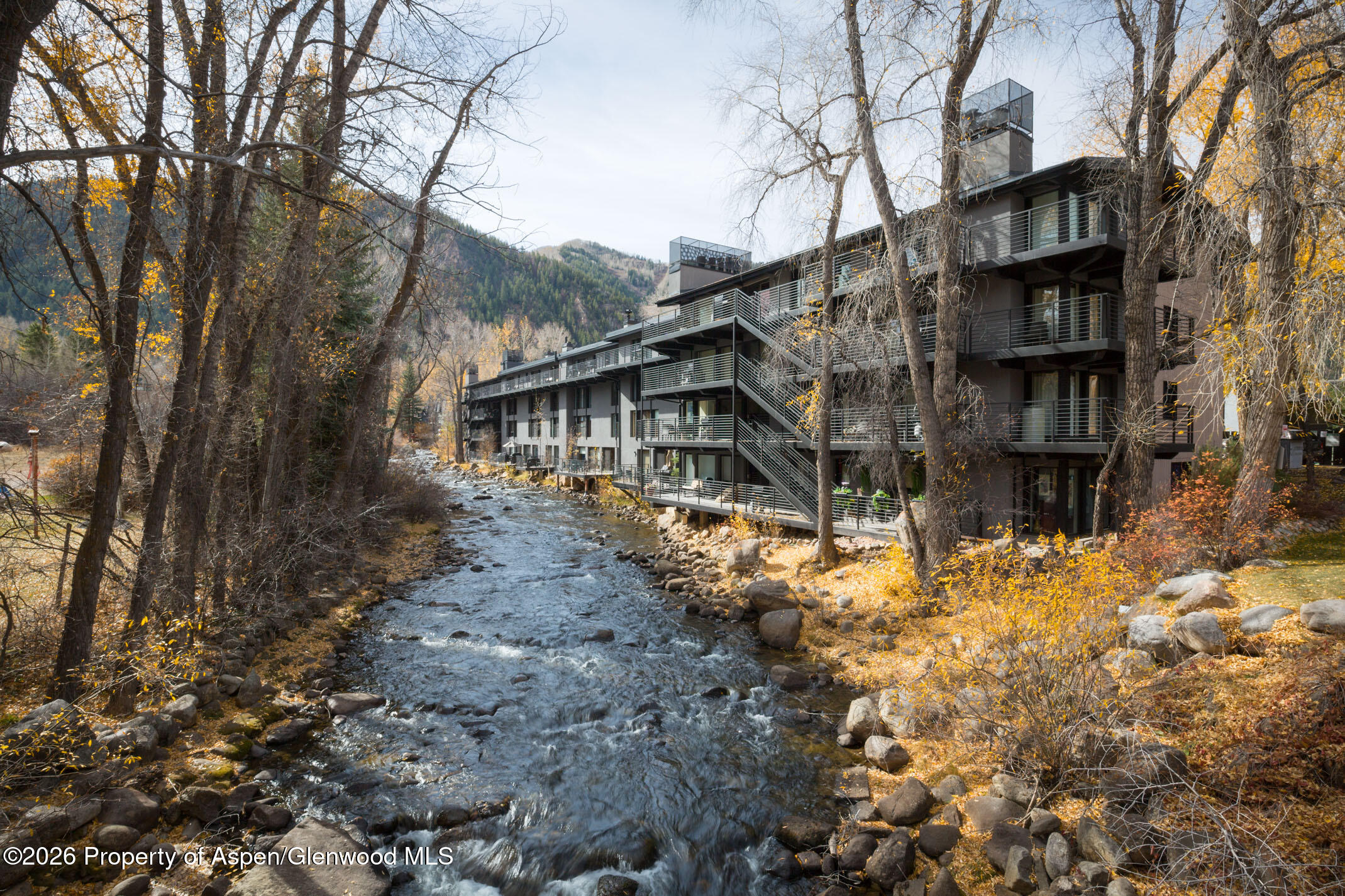 1039 E Cooper Avenue Aspen CO 81611