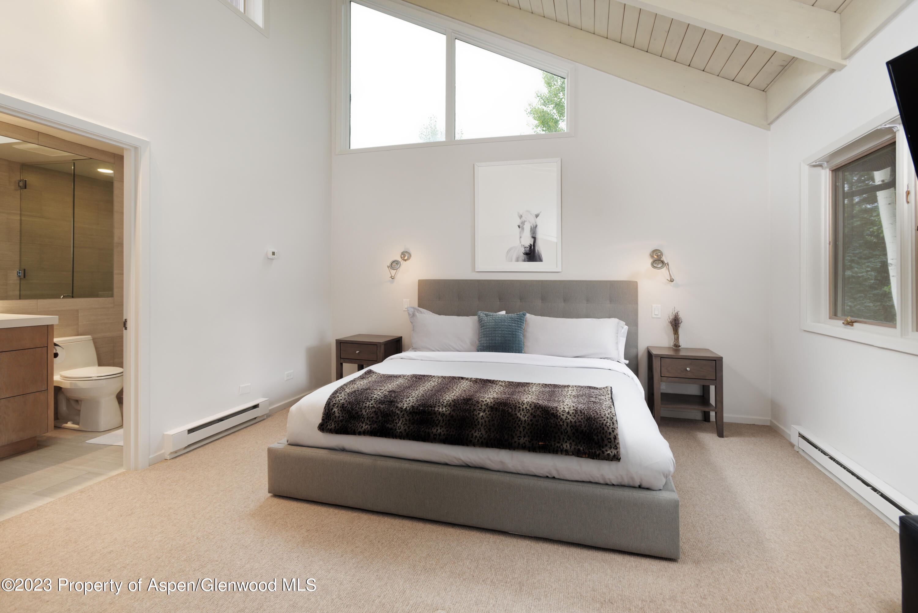 810 Ridge Road Snowmass Village CO 81615