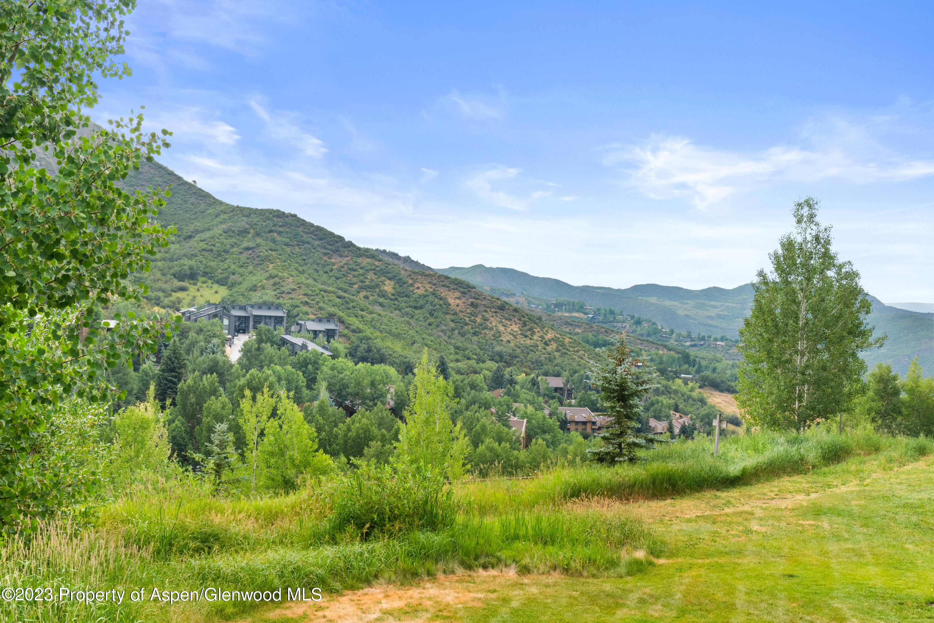 810 Ridge Road Snowmass Village CO 81615