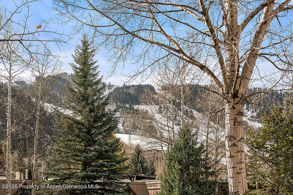 830 E Durant Avenue Aspen CO 81611