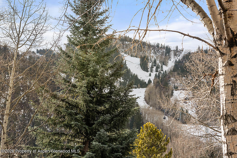 830 E Durant Avenue Aspen CO 81611