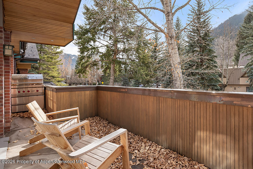 830 E Durant Avenue Aspen CO 81611