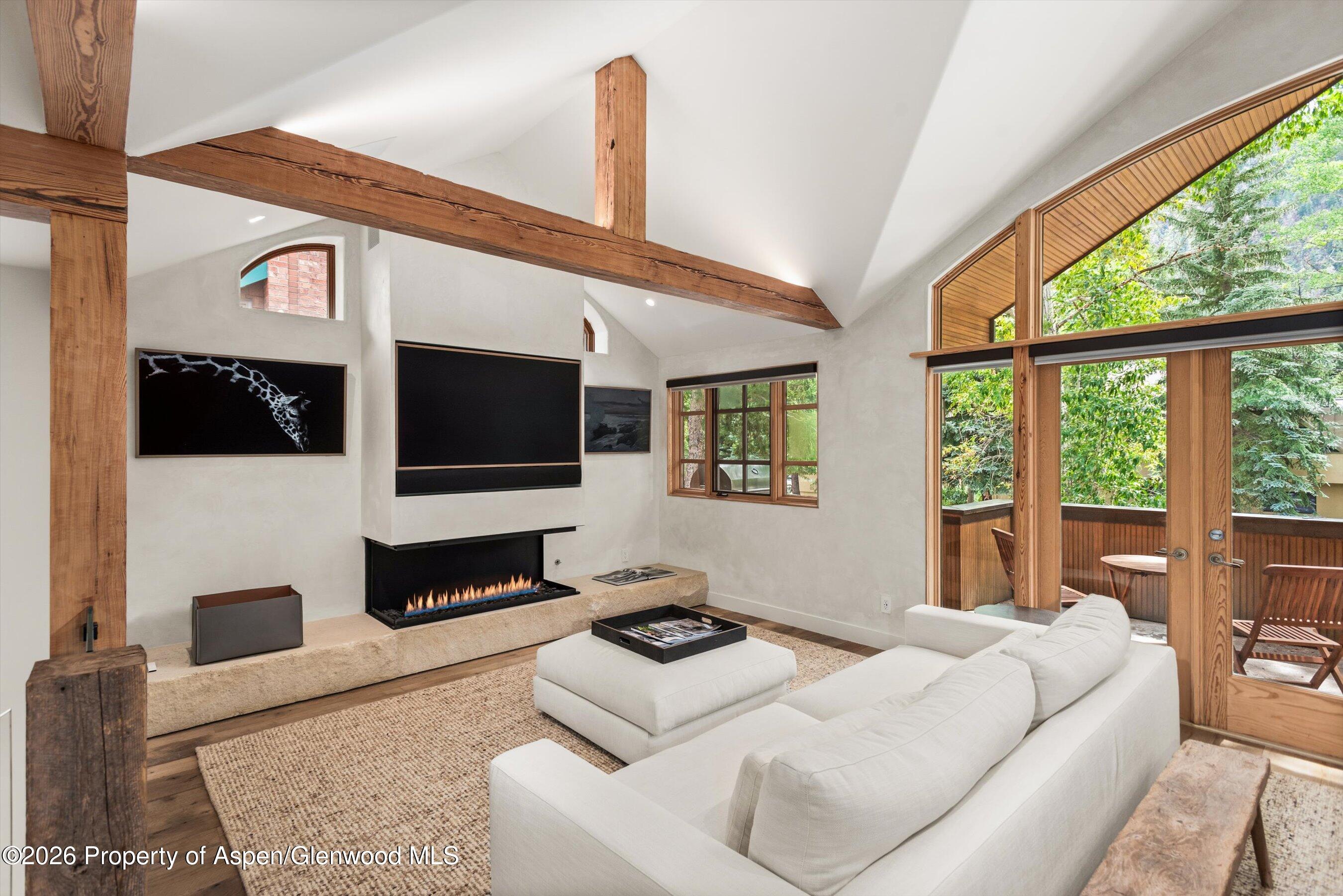 830 E Durant Avenue Aspen CO 81611