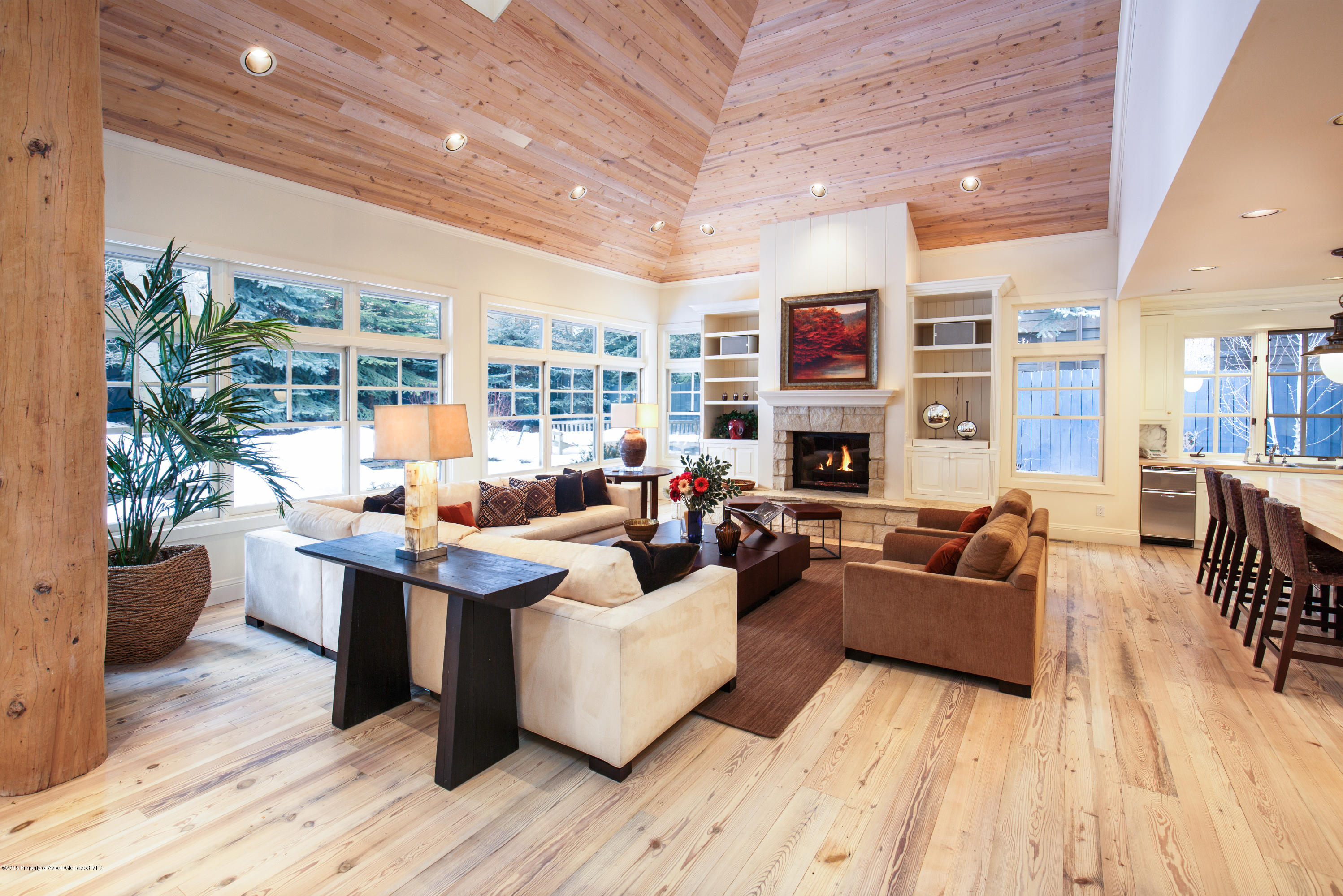 907 Waters Avenue Aspen CO 81611