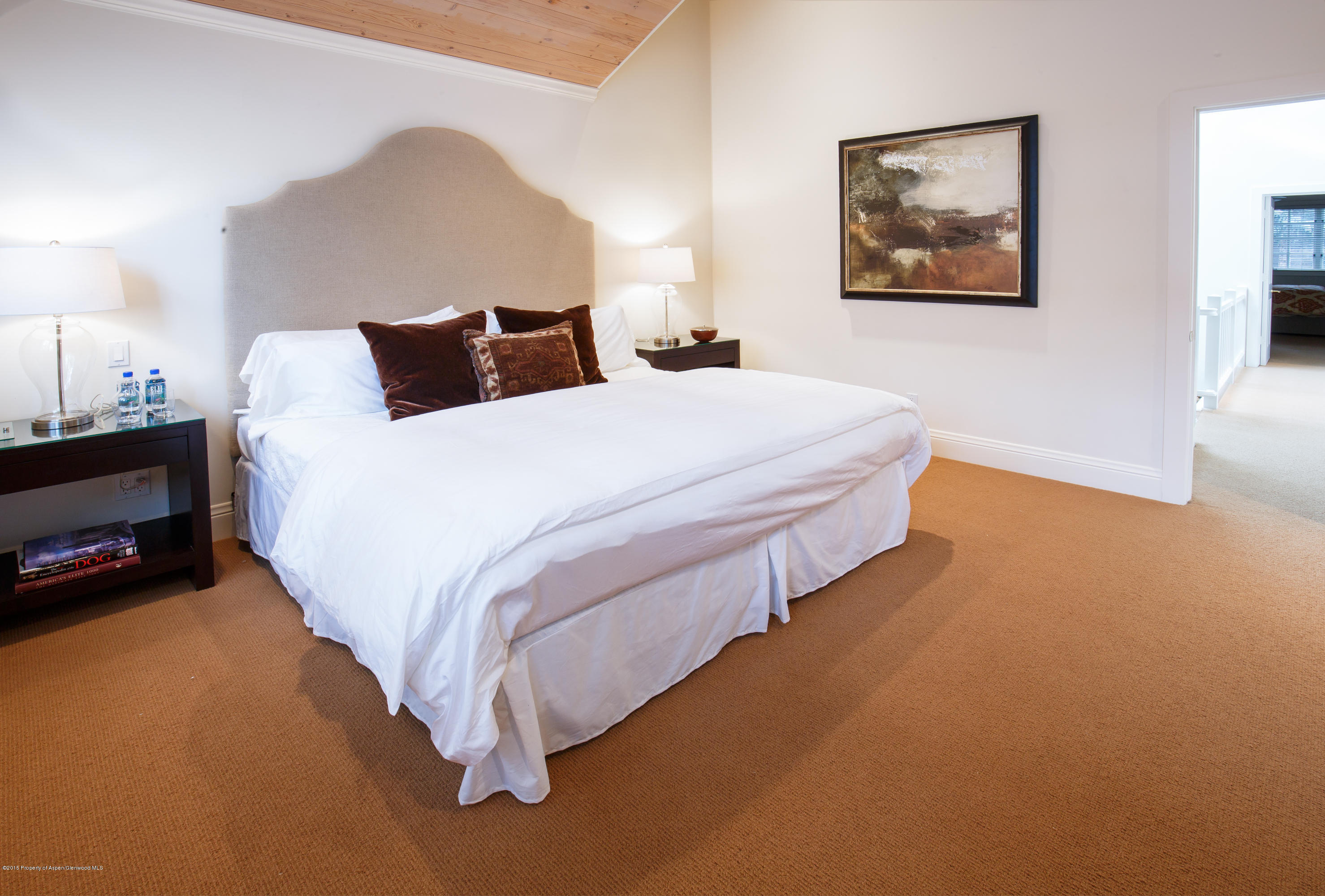 907 Waters Avenue Aspen CO 81611