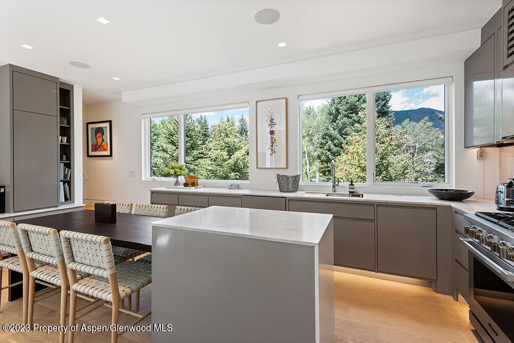 623 S Monarch Street Aspen CO 81611