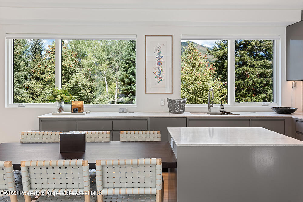 623 S Monarch Street Aspen CO 81611