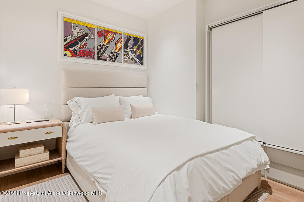 623 S Monarch Street Aspen CO 81611