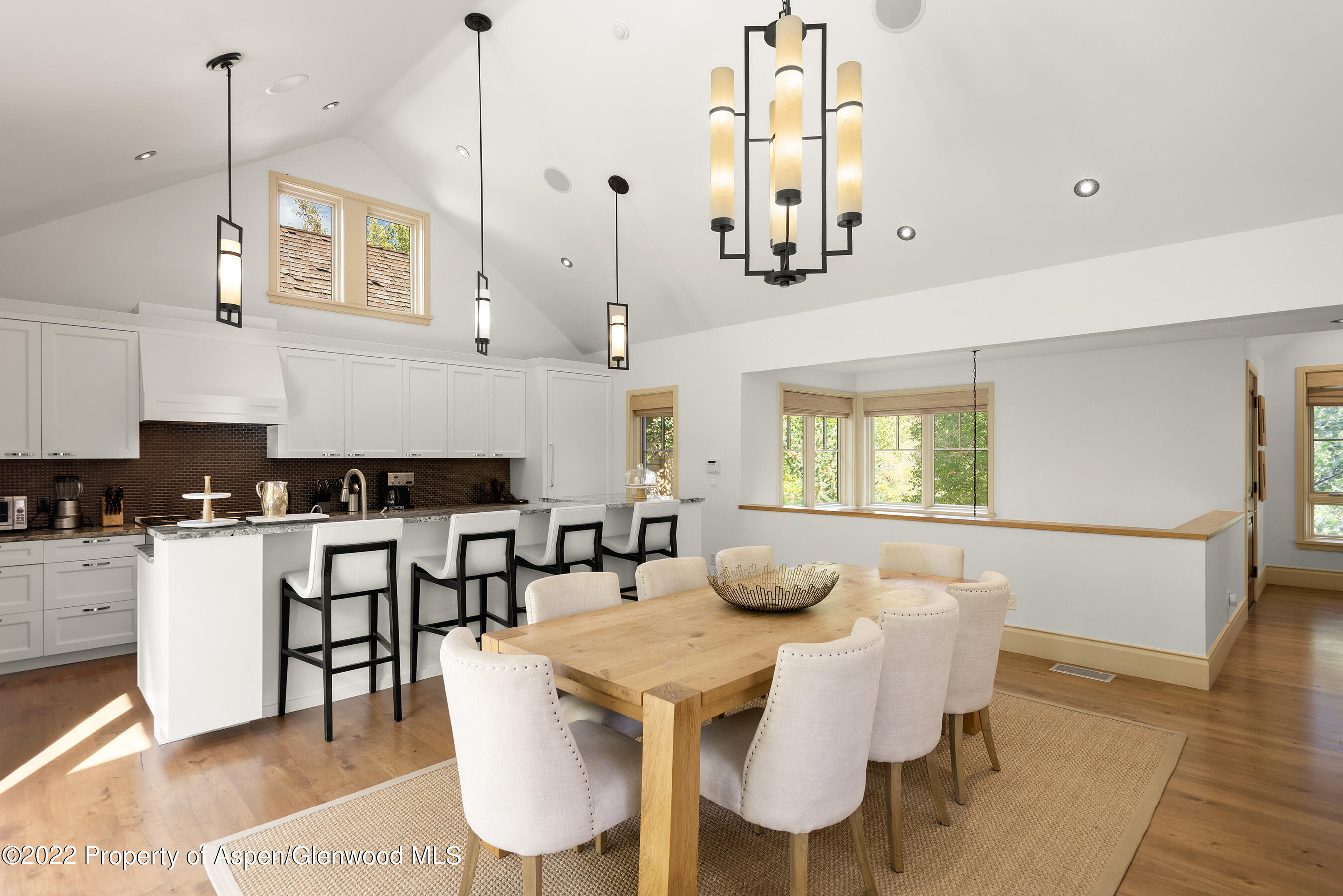 509 W Hopkins Avenue Aspen CO 81611