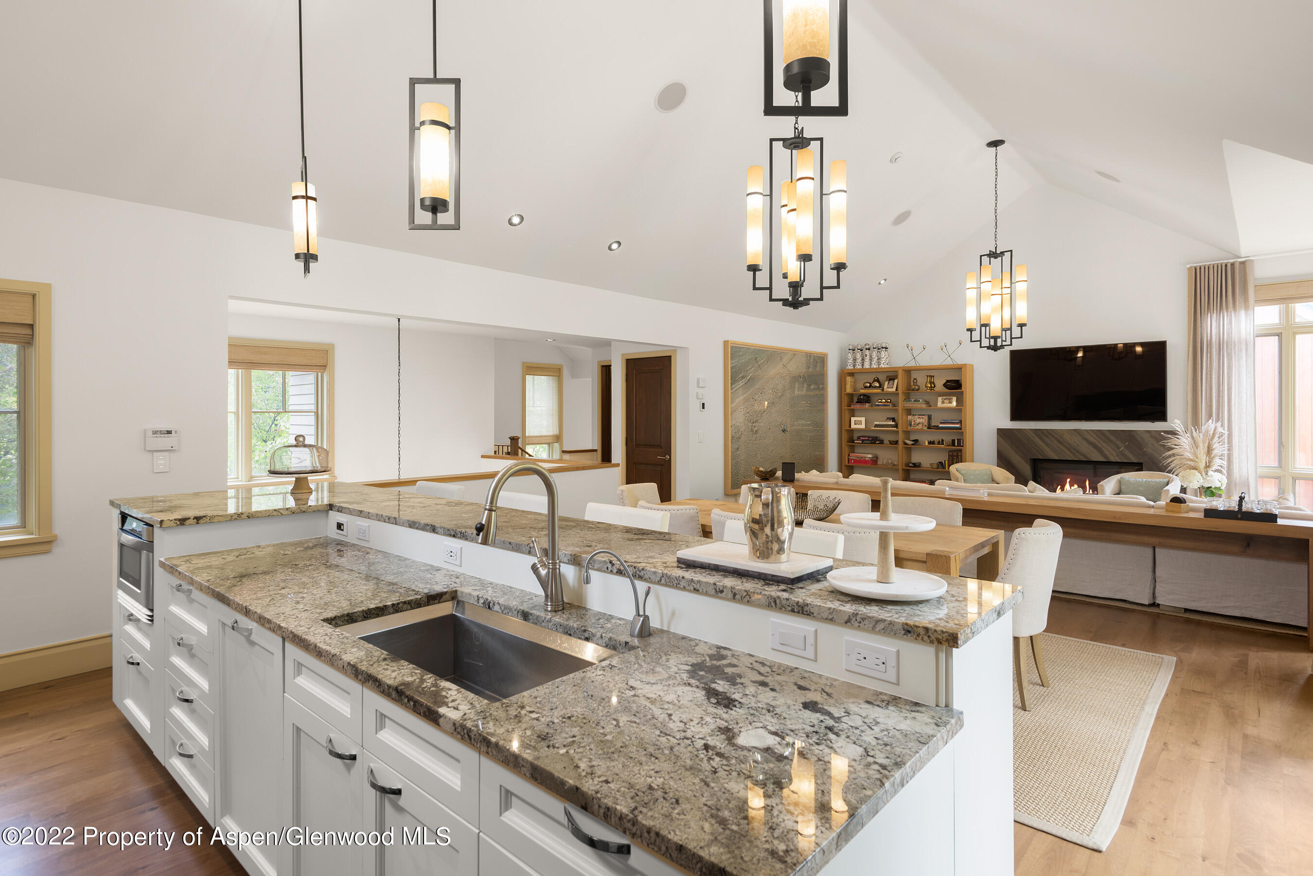 509 W Hopkins Avenue Aspen CO 81611