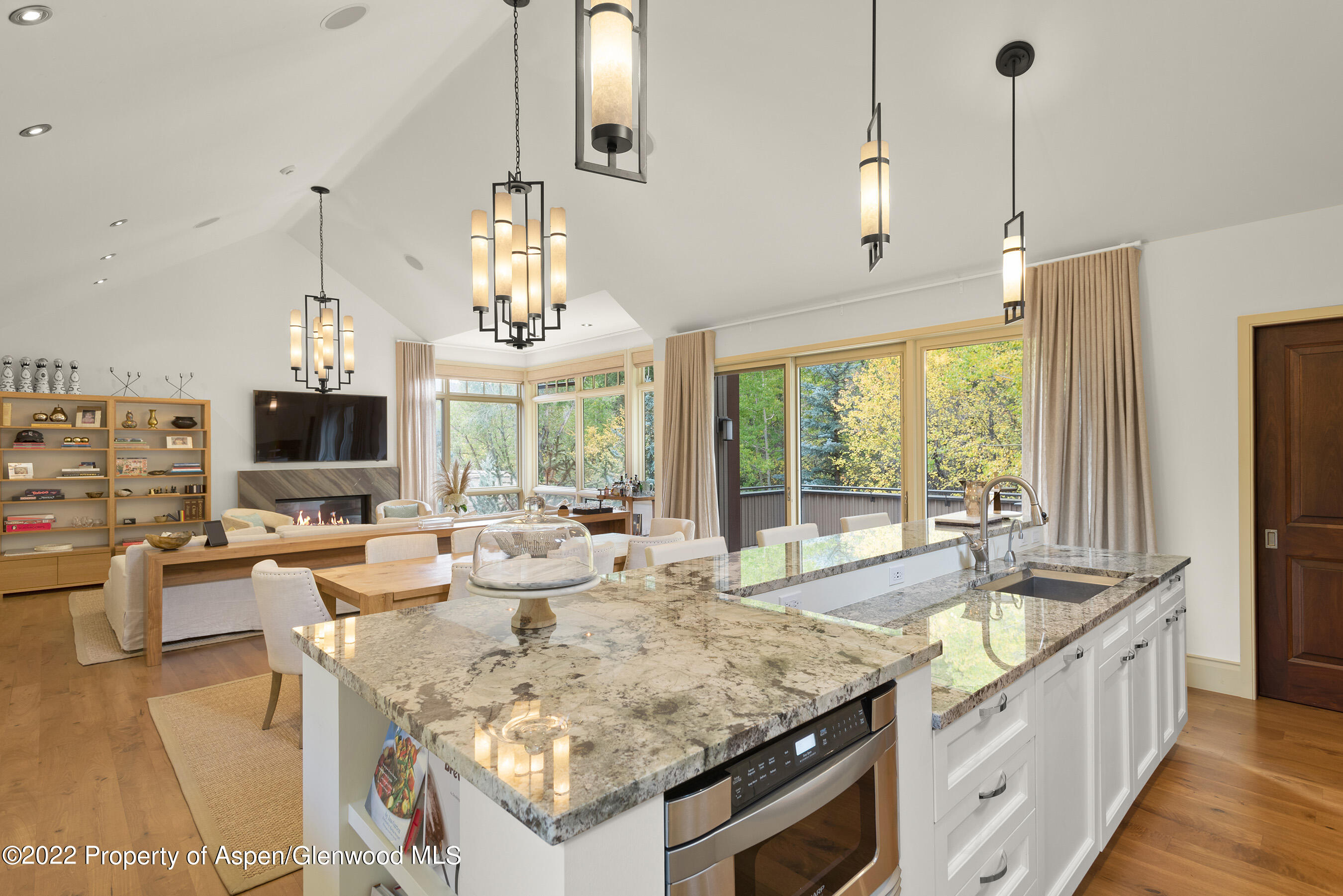 509 W Hopkins Avenue Aspen CO 81611