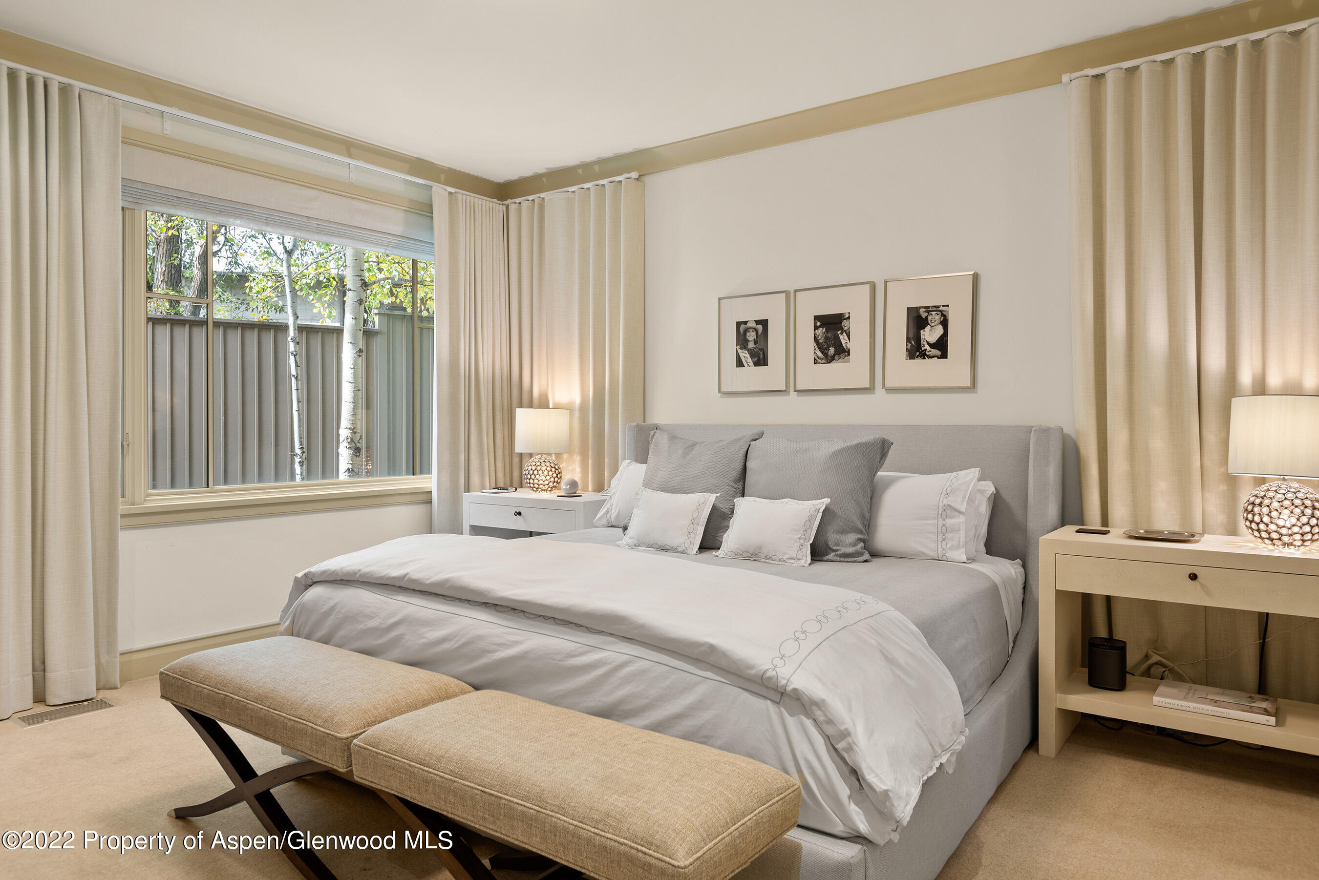 509 W Hopkins Avenue Aspen CO 81611