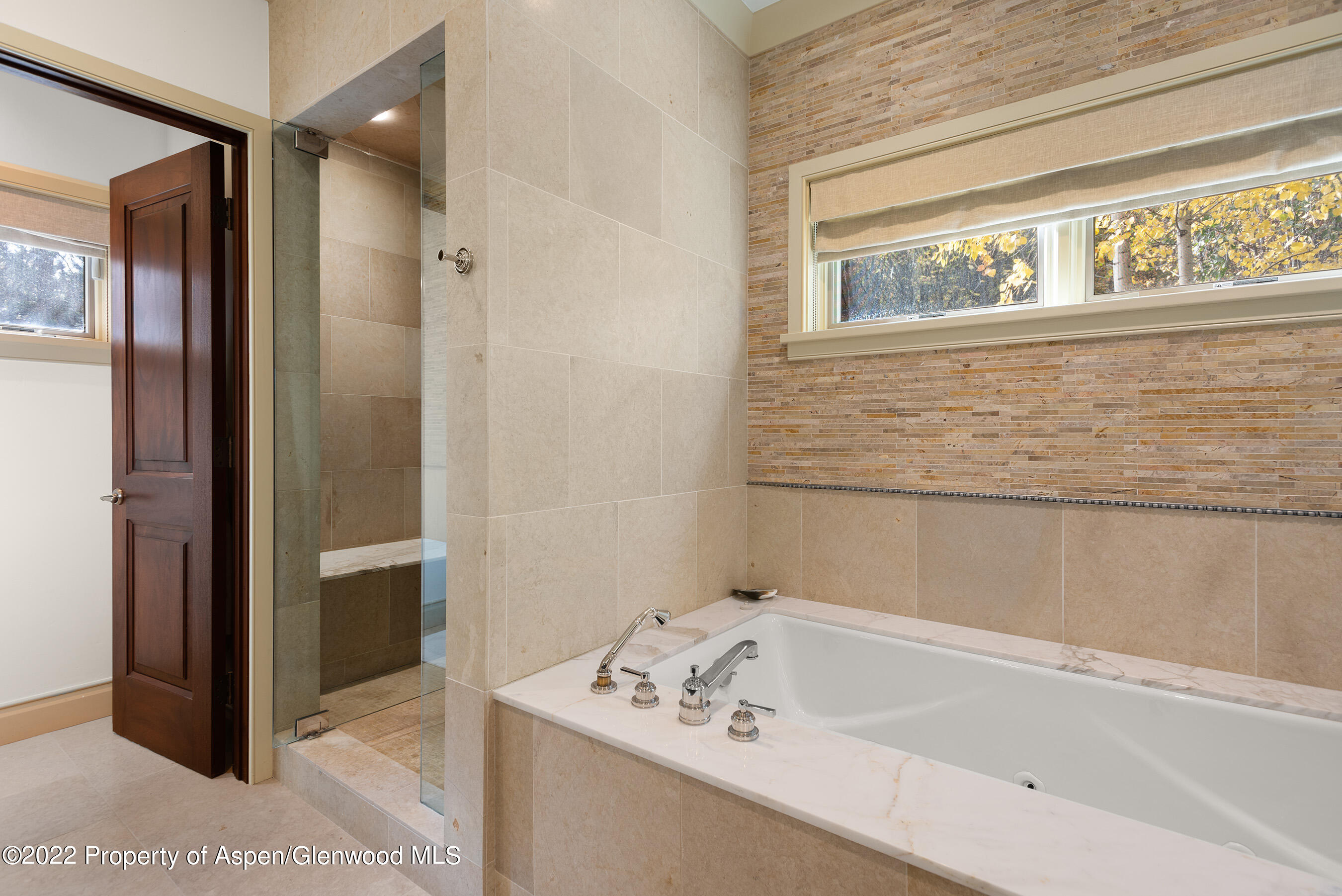 509 W Hopkins Avenue Aspen CO 81611