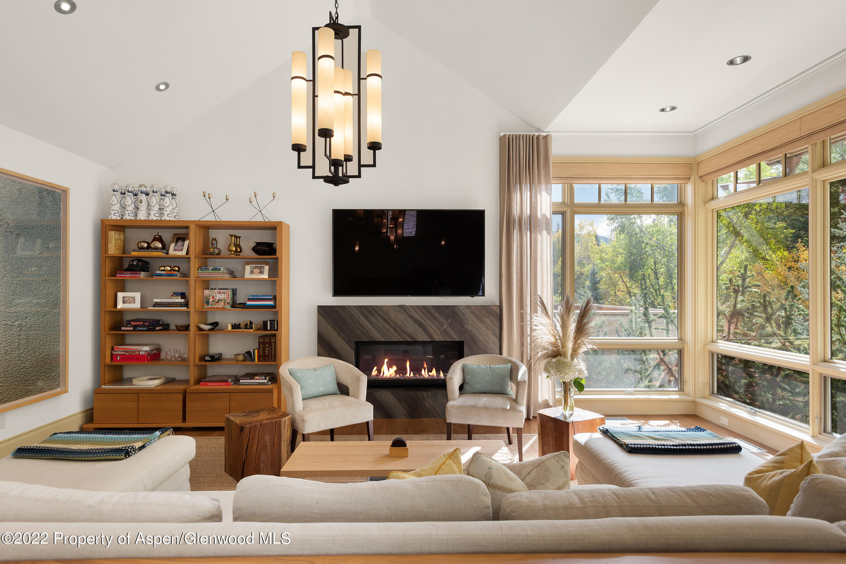 509 W Hopkins Avenue Aspen CO 81611