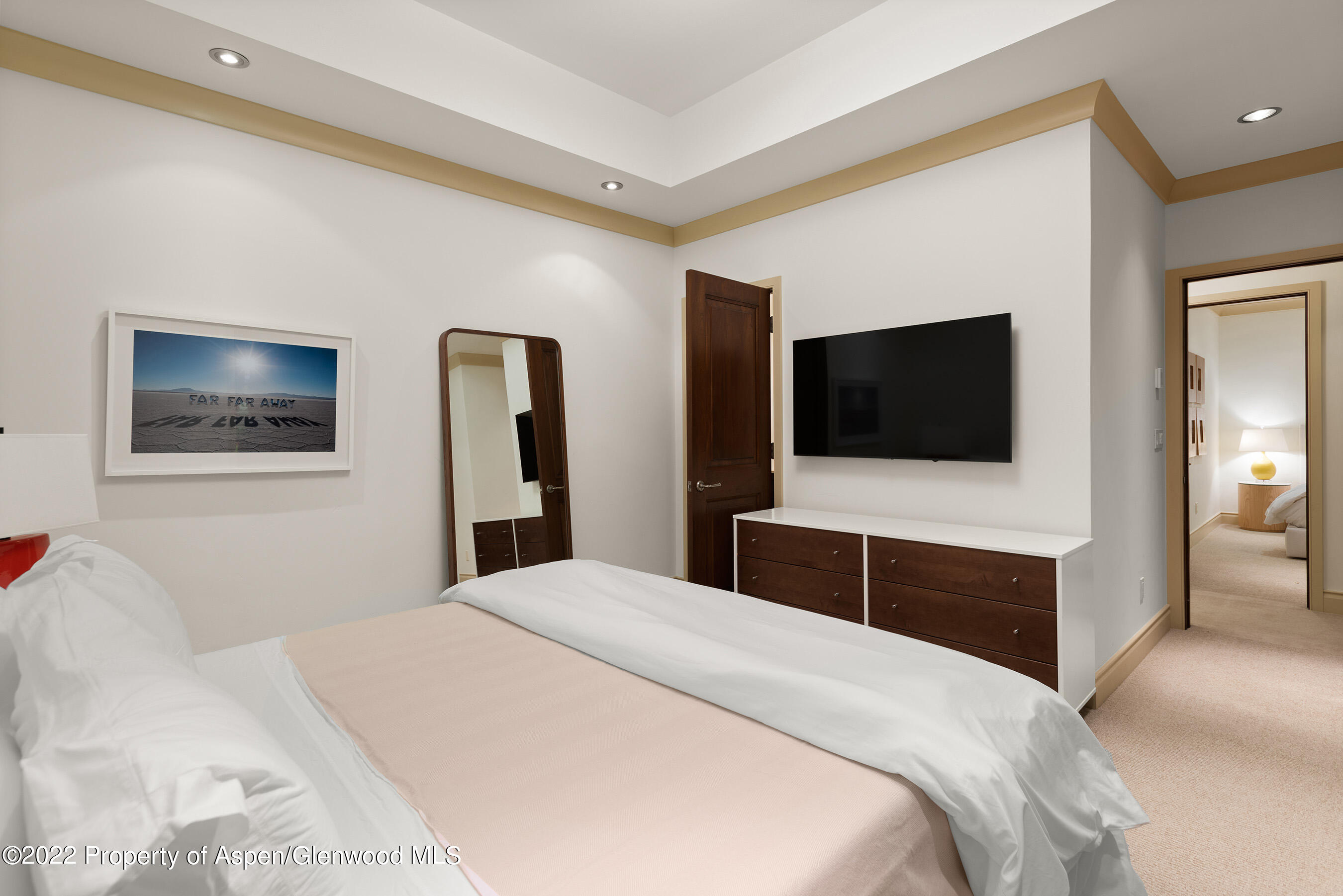 509 W Hopkins Avenue Aspen CO 81611