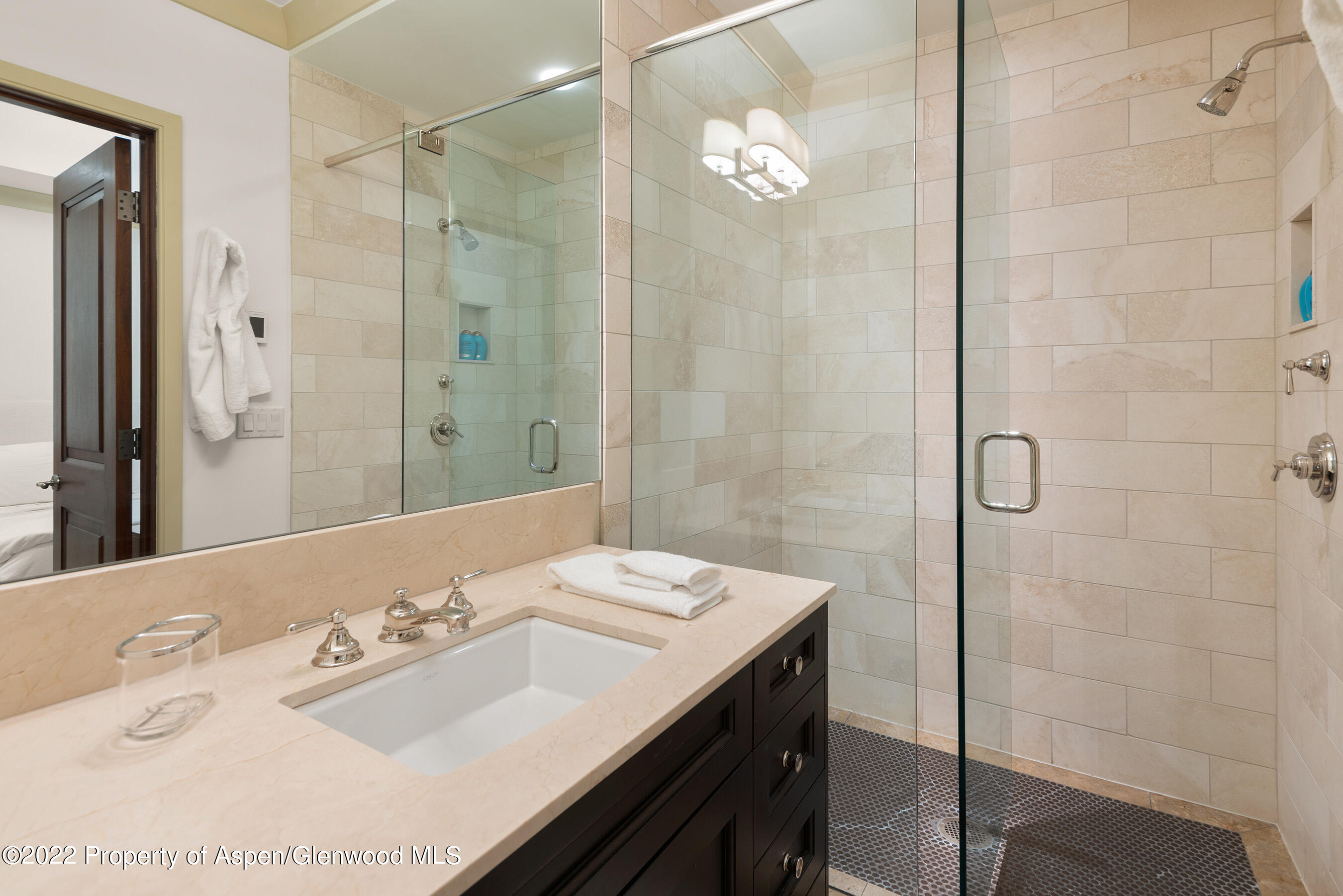 509 W Hopkins Avenue Aspen CO 81611