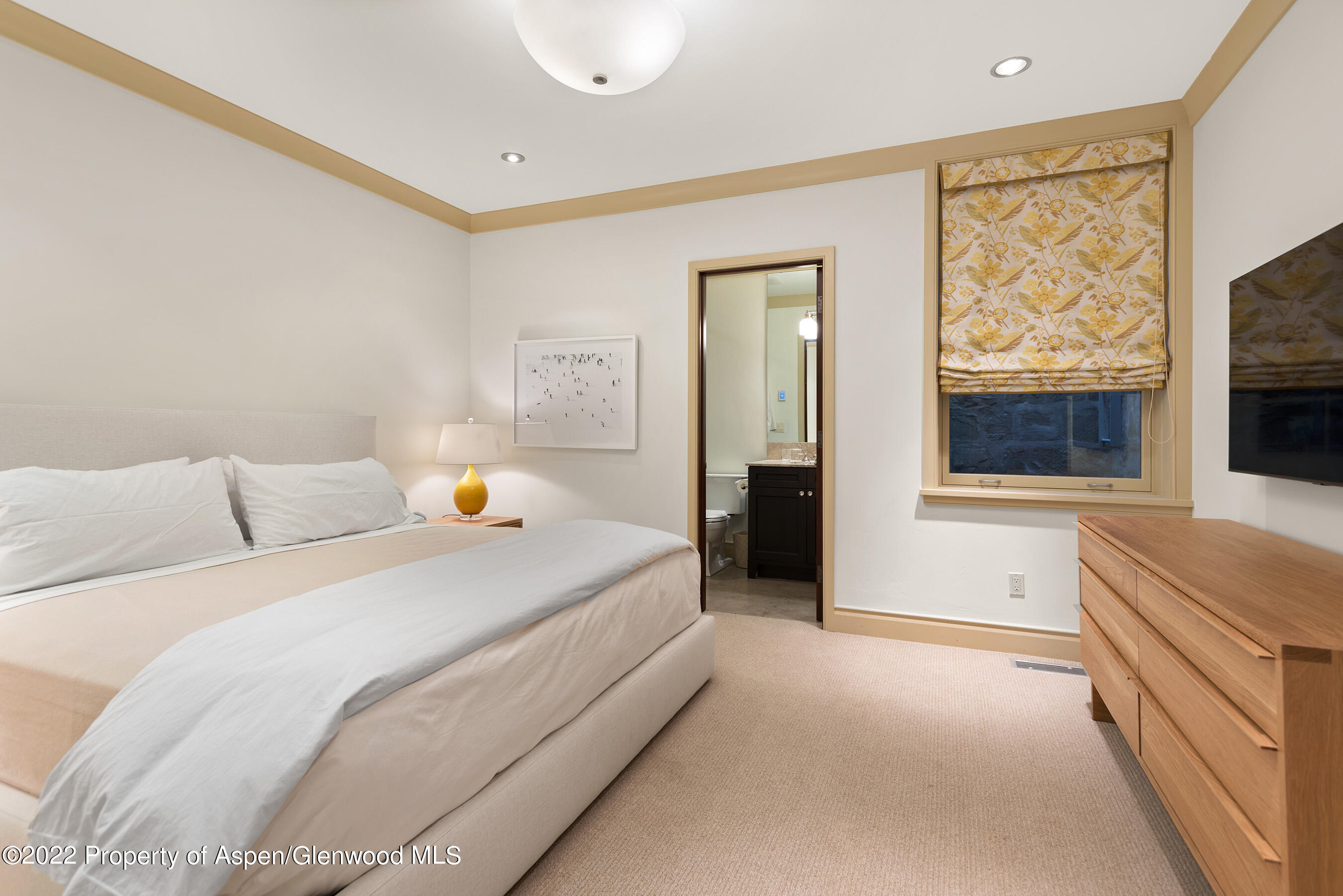 509 W Hopkins Avenue Aspen CO 81611