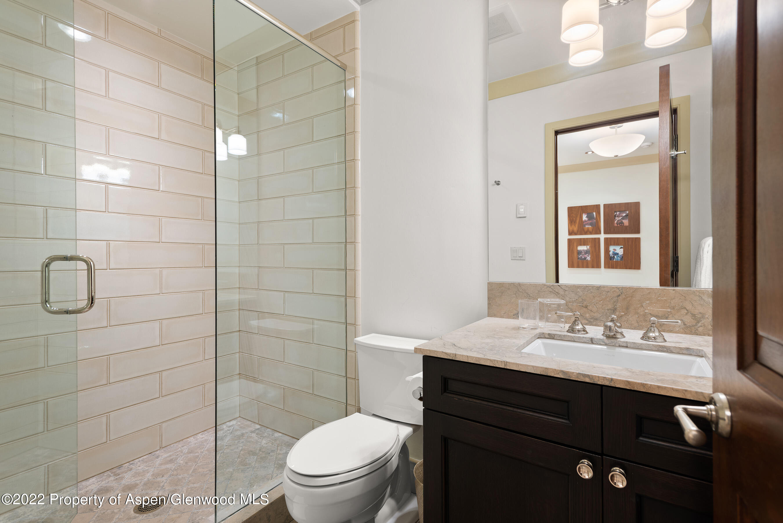 509 W Hopkins Avenue Aspen CO 81611