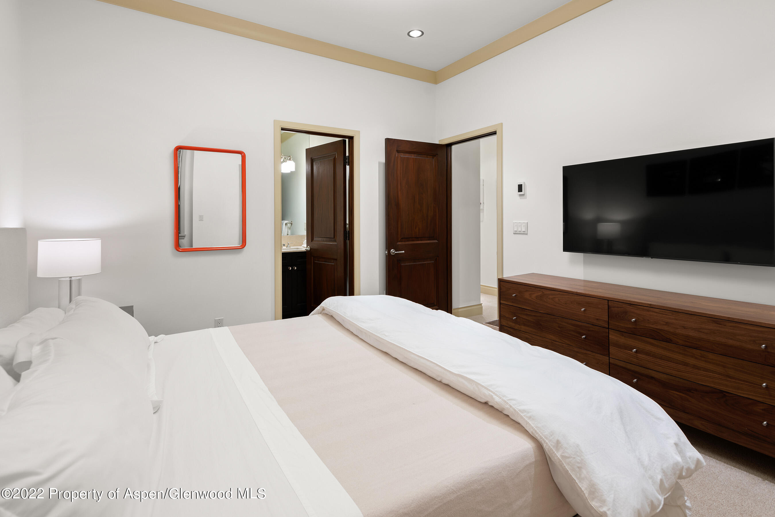 509 W Hopkins Avenue Aspen CO 81611