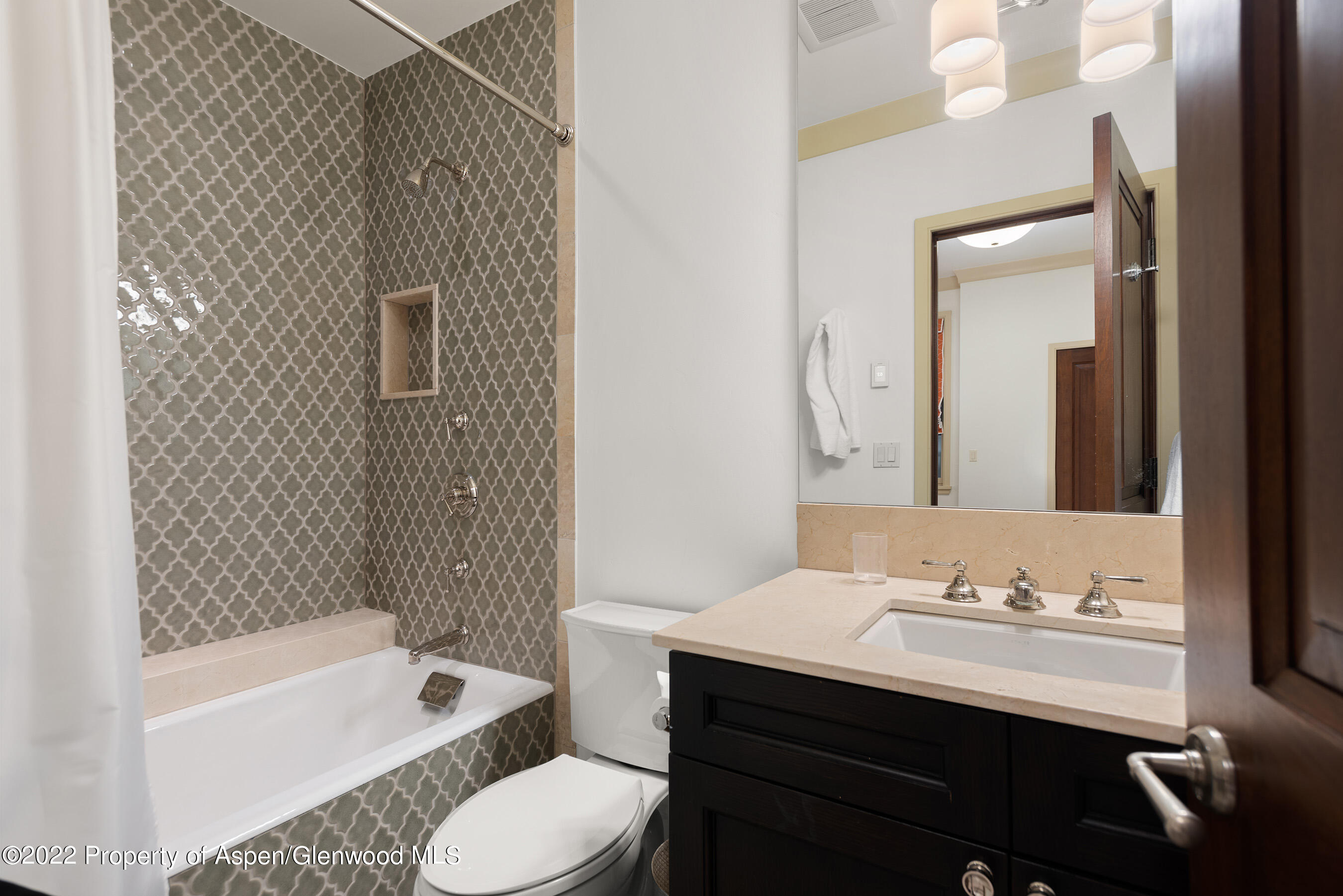 509 W Hopkins Avenue Aspen CO 81611