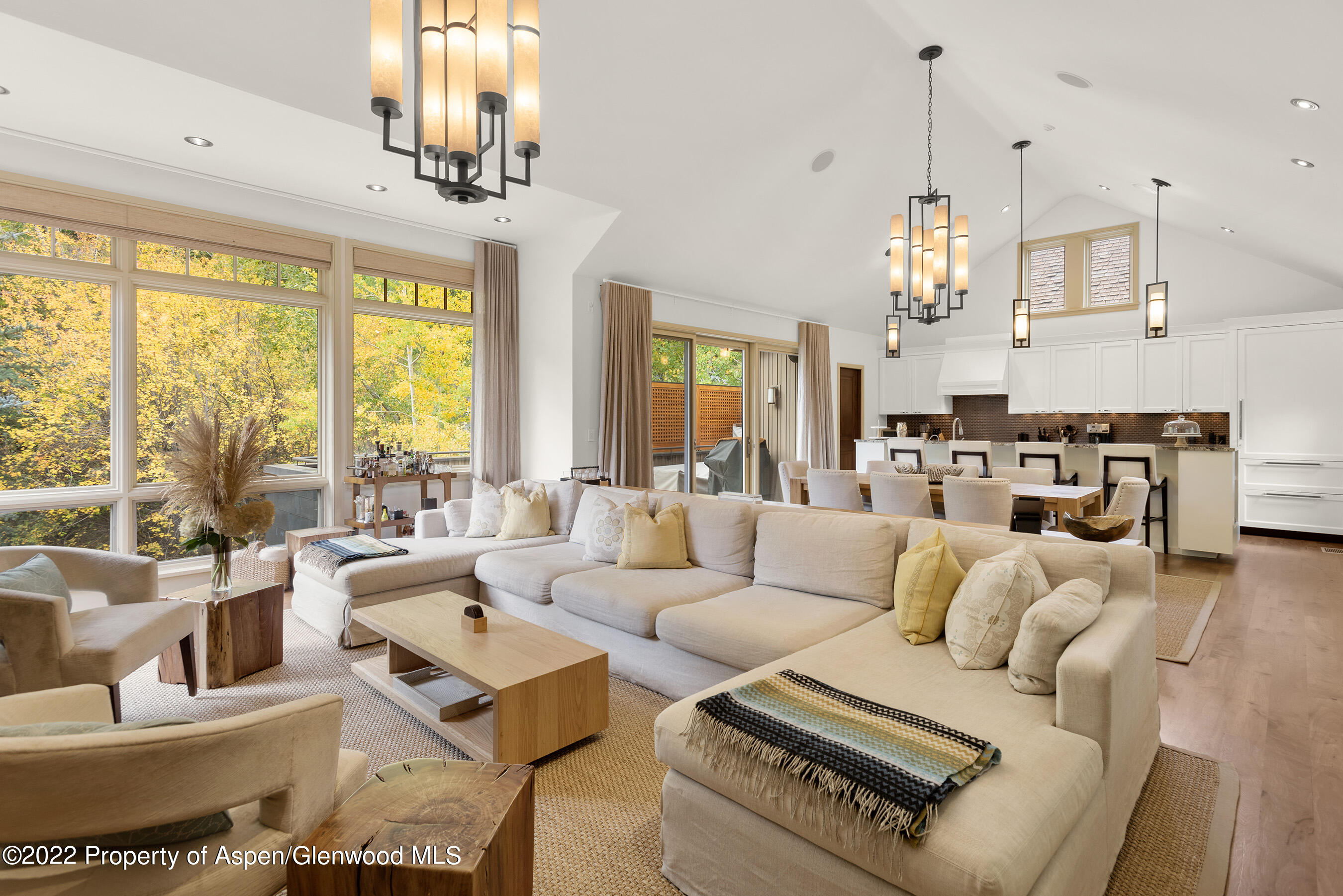 509 W Hopkins Avenue Aspen CO 81611