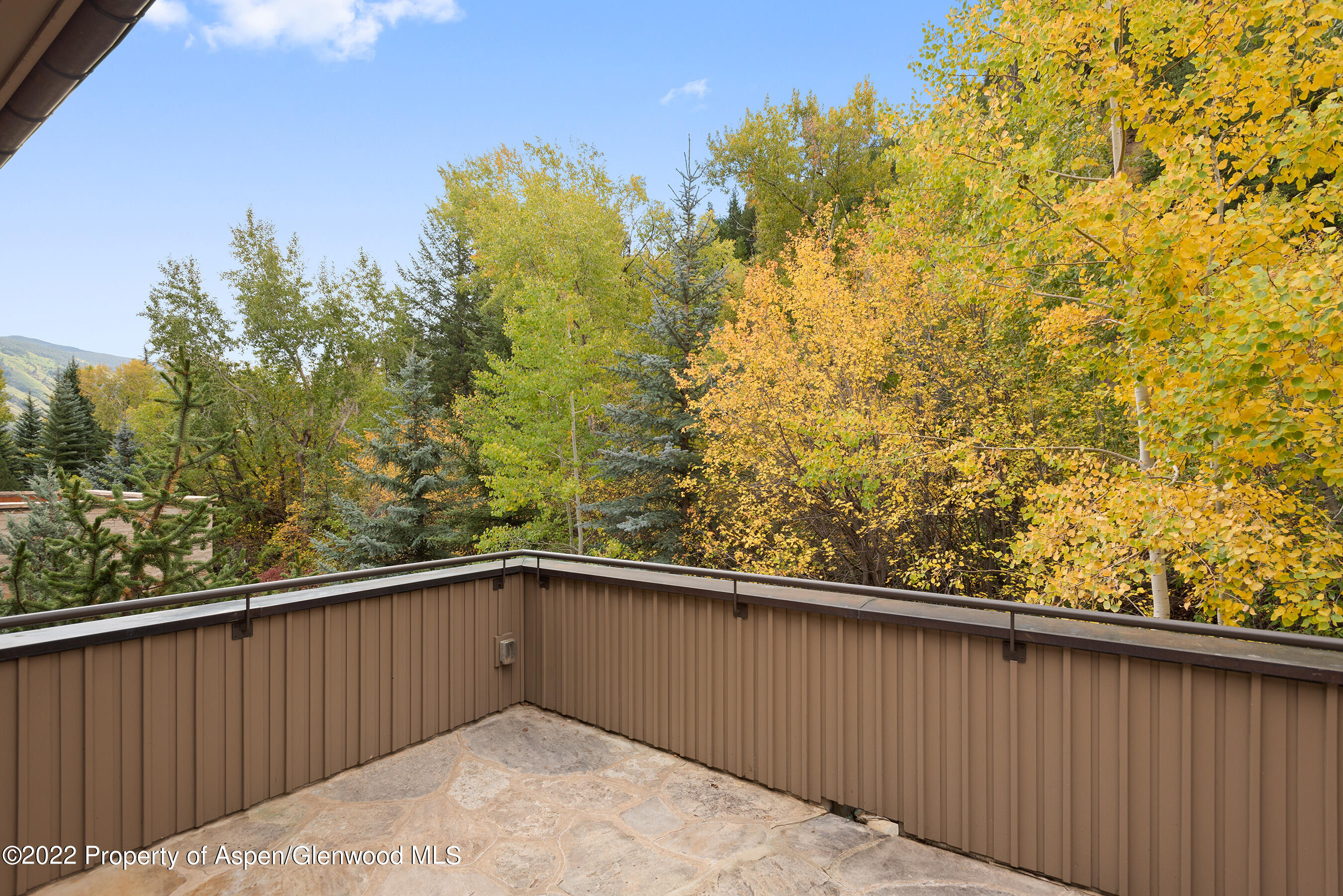 509 W Hopkins Avenue Aspen CO 81611