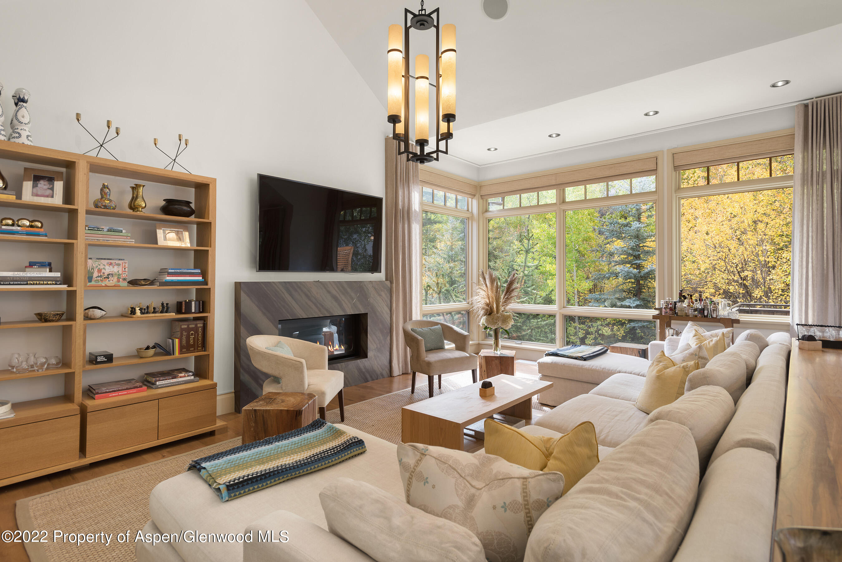 509 W Hopkins Avenue Aspen CO 81611