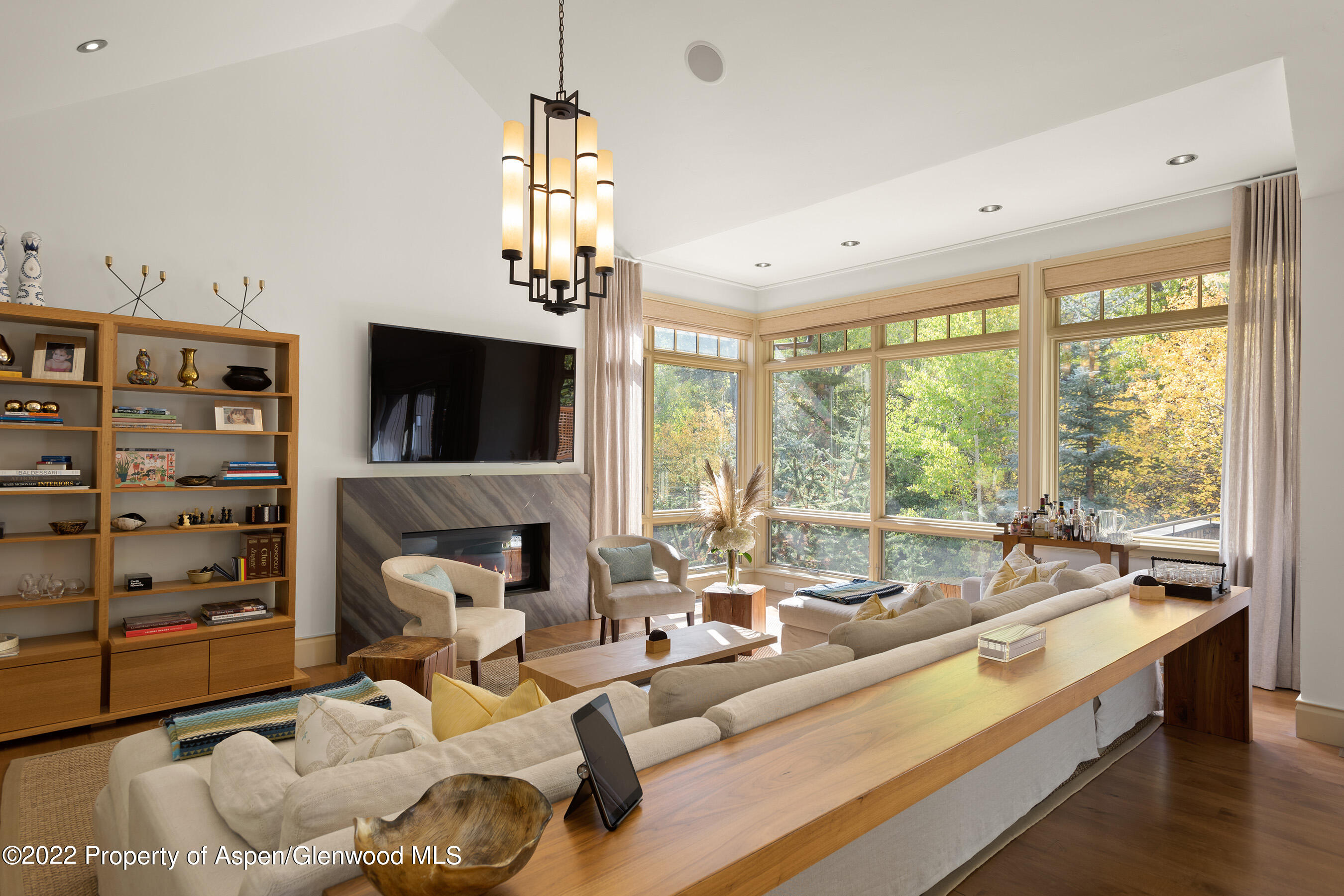 509 W Hopkins Avenue Aspen CO 81611