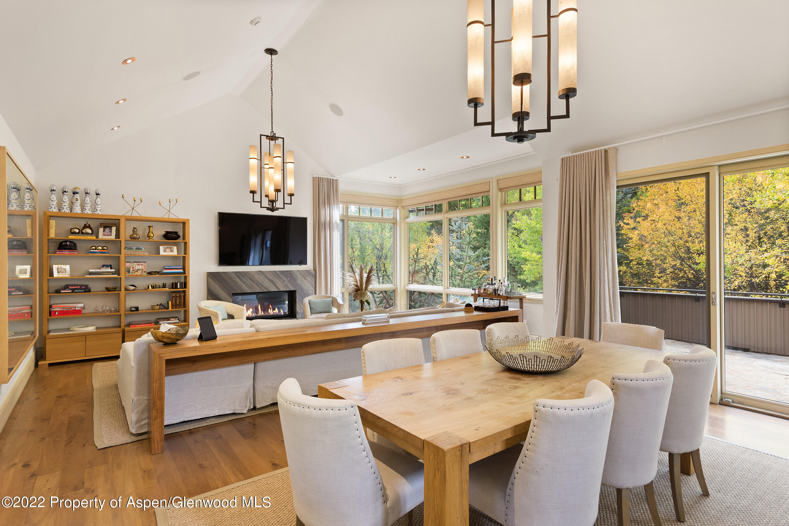 509 W Hopkins Avenue Aspen CO 81611