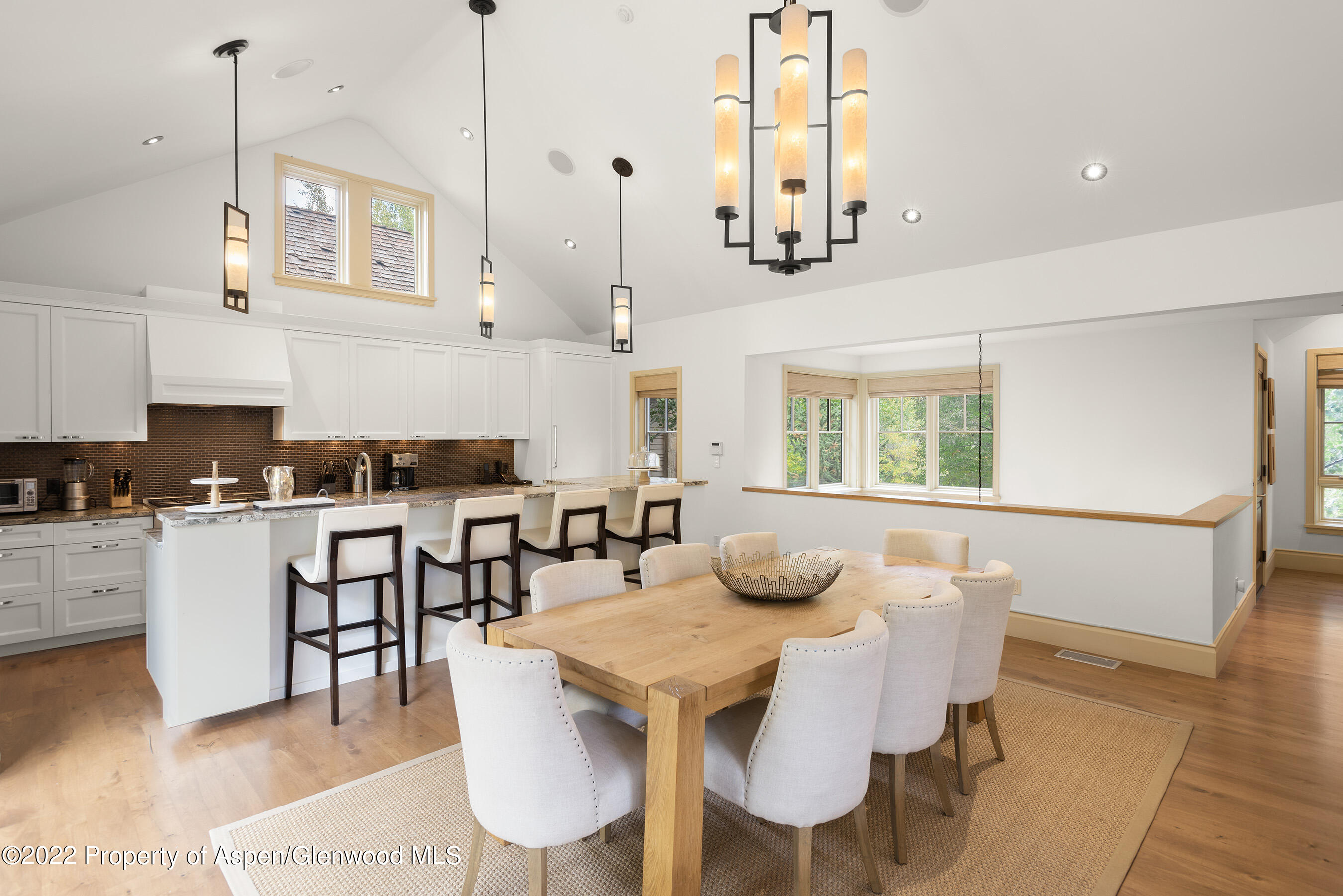 509 W Hopkins Avenue Aspen CO 81611