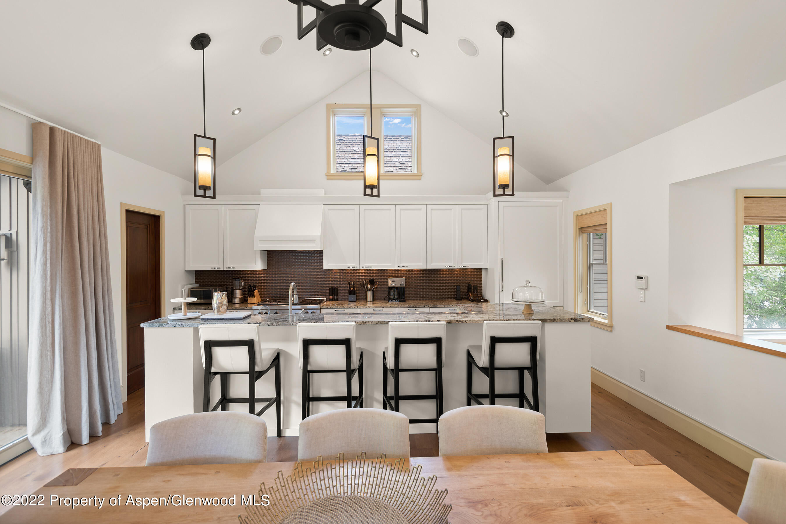 509 W Hopkins Avenue Aspen CO 81611