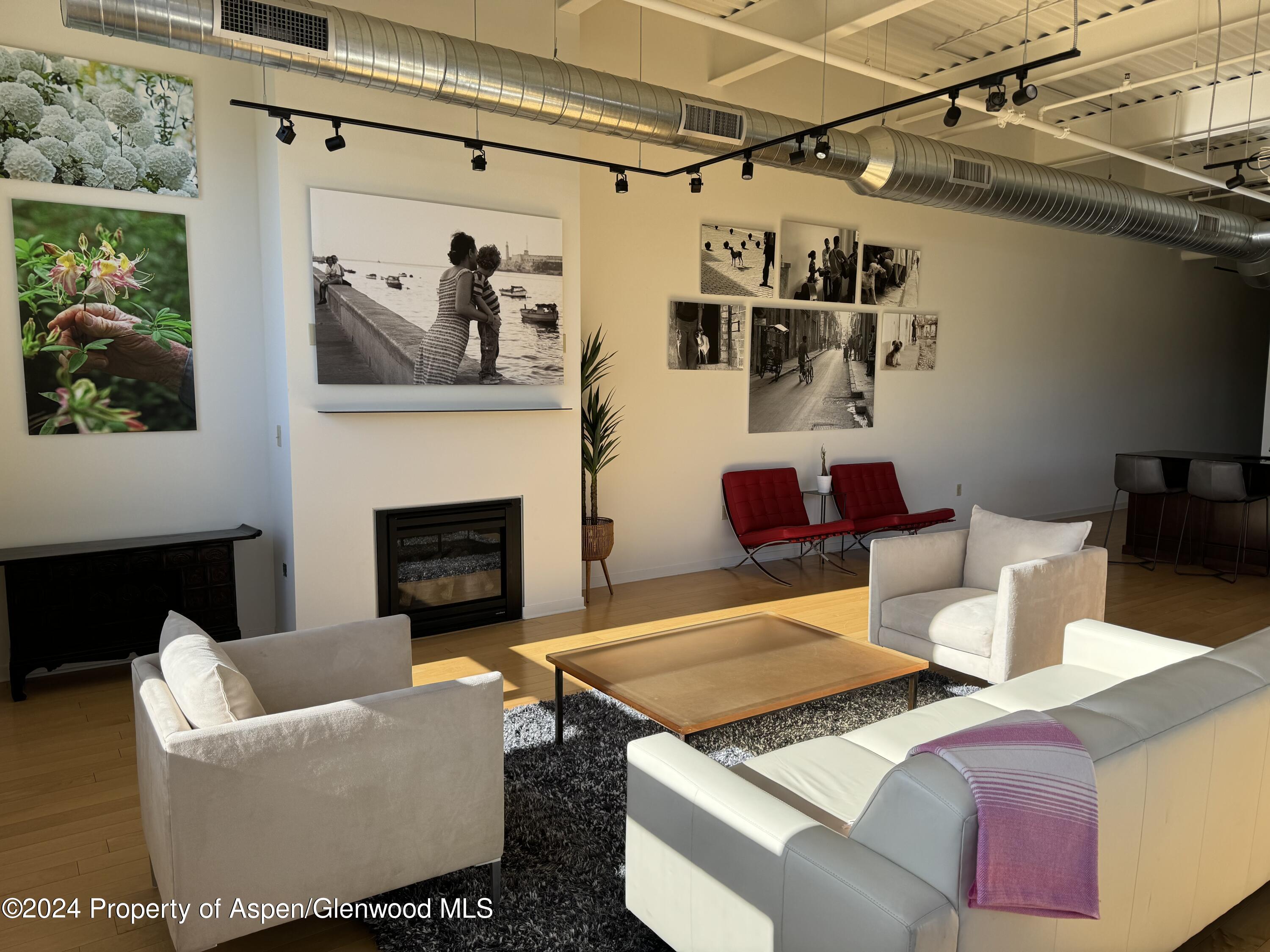 361 Robinson Street Basalt CO 81621
