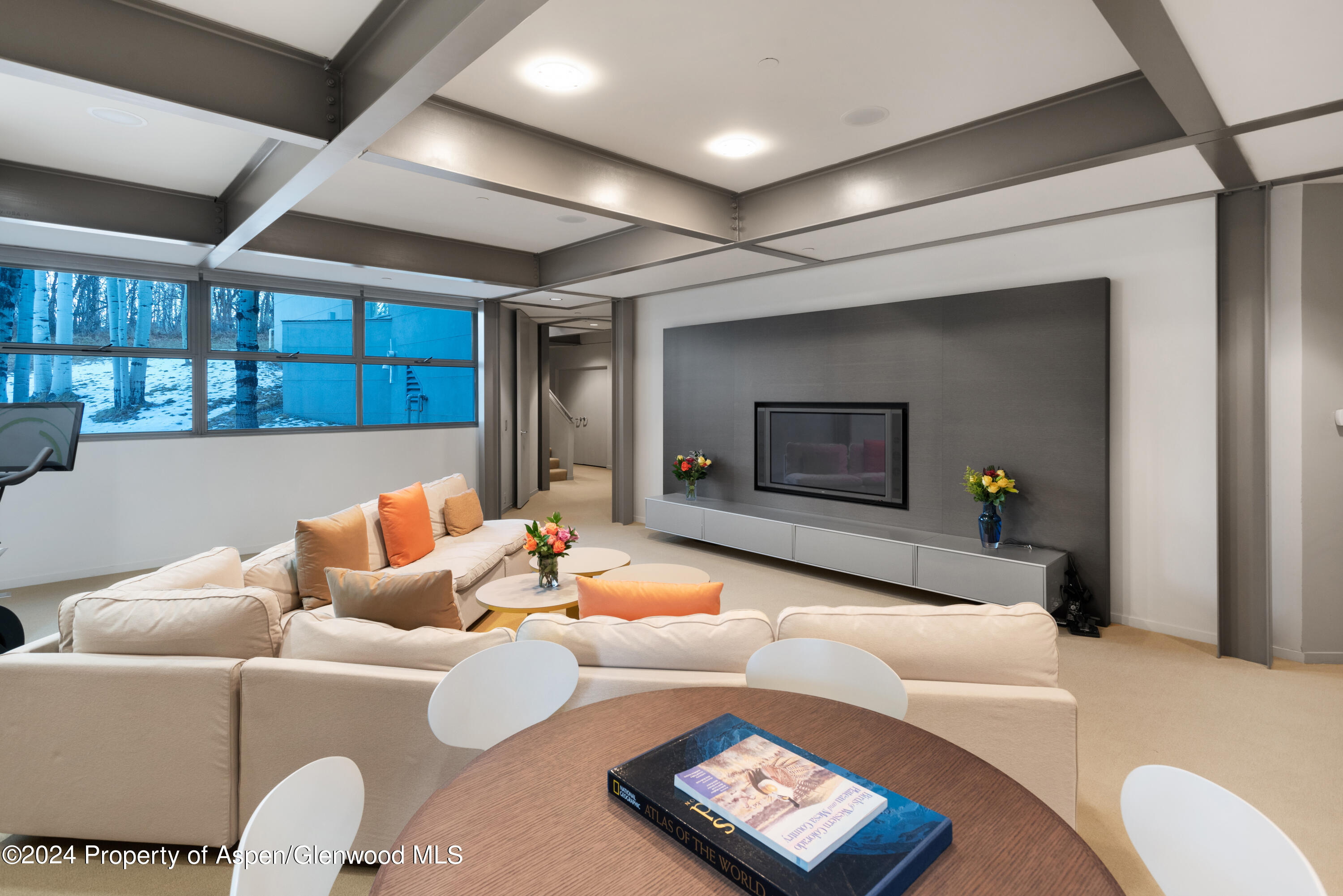 821 Cluny Road Aspen CO 81611