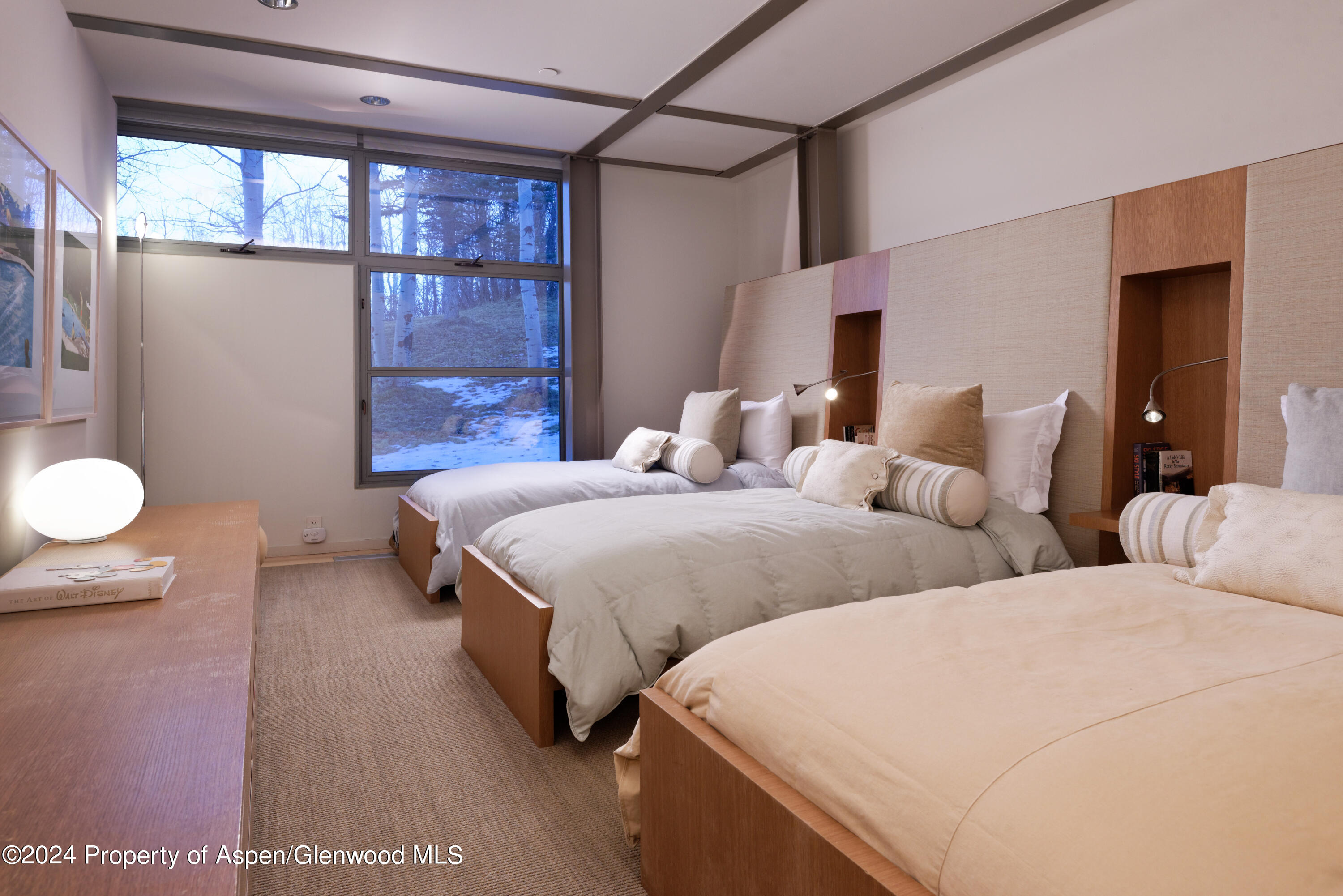 821 Cluny Road Aspen CO 81611