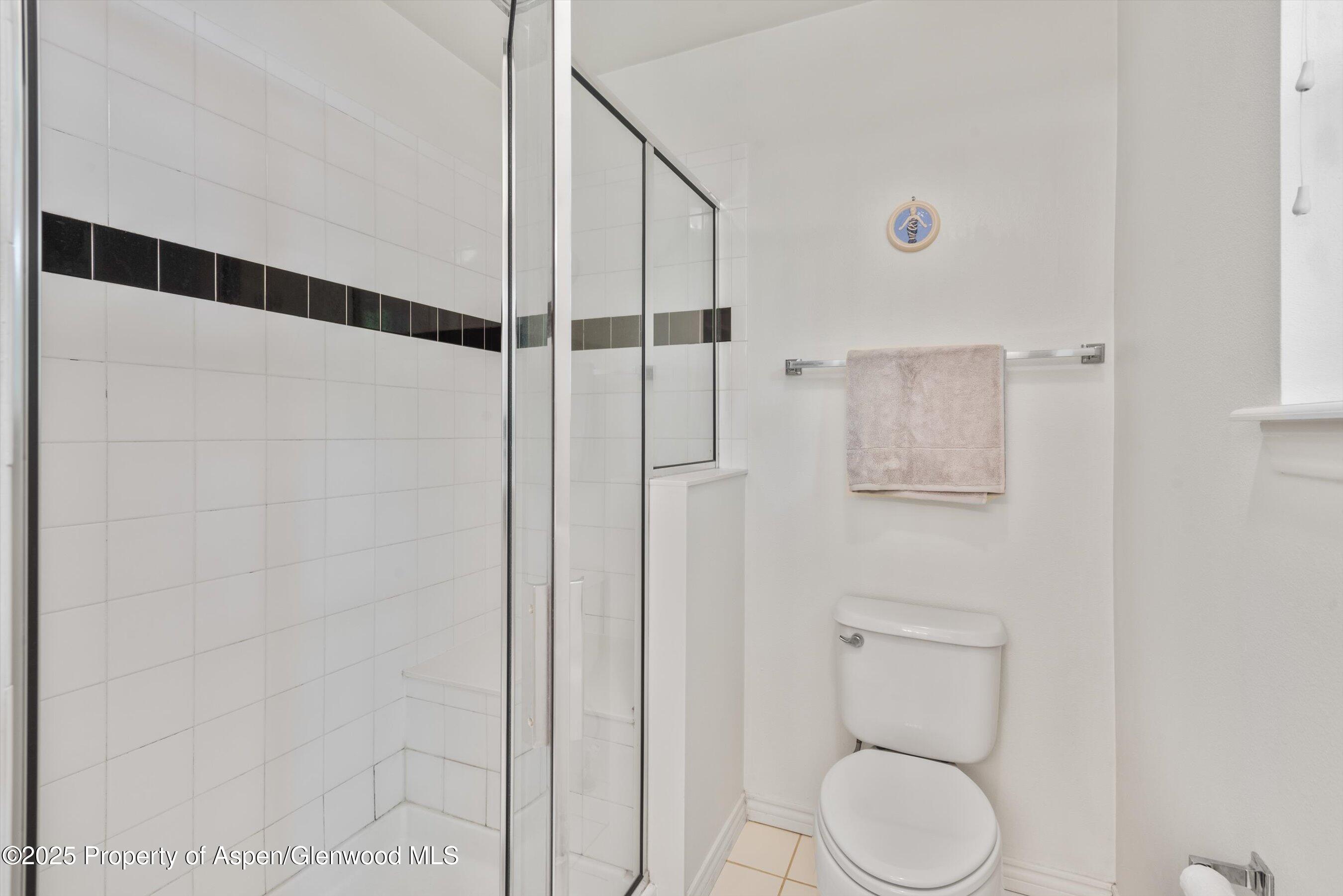 54 Ferguson Drive Carbondale CO 81623